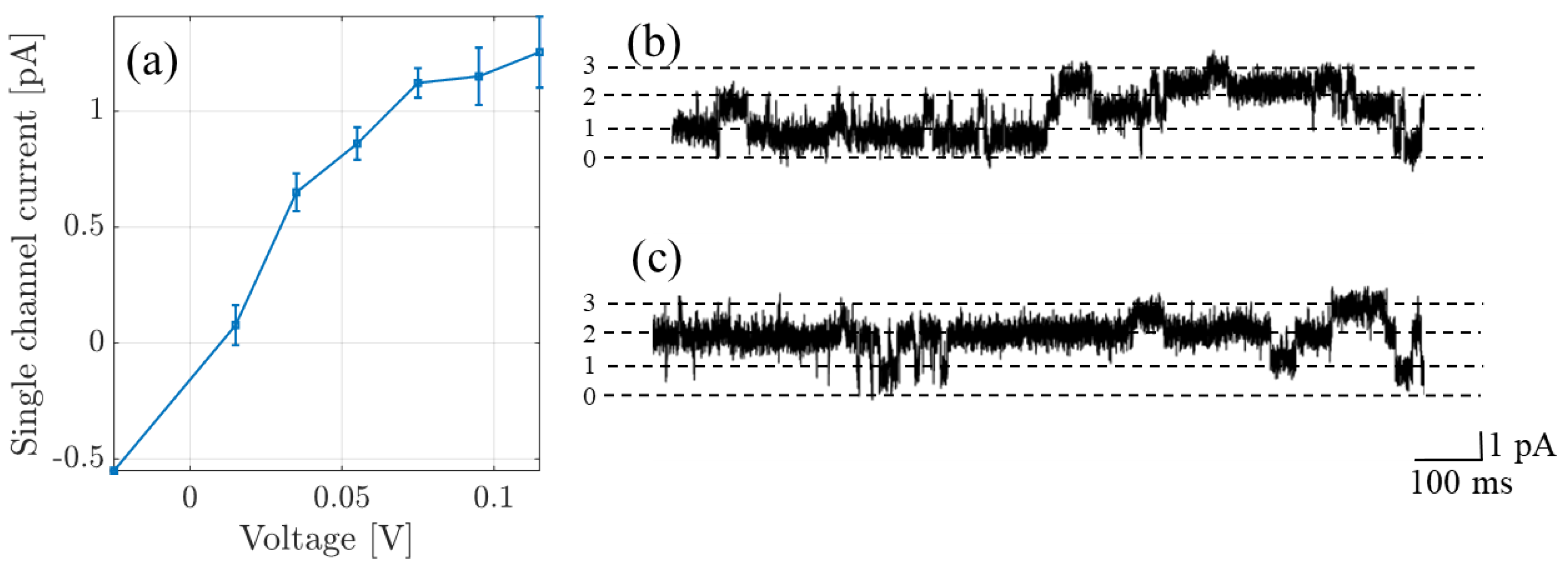 Entropy 23 00249 g002
