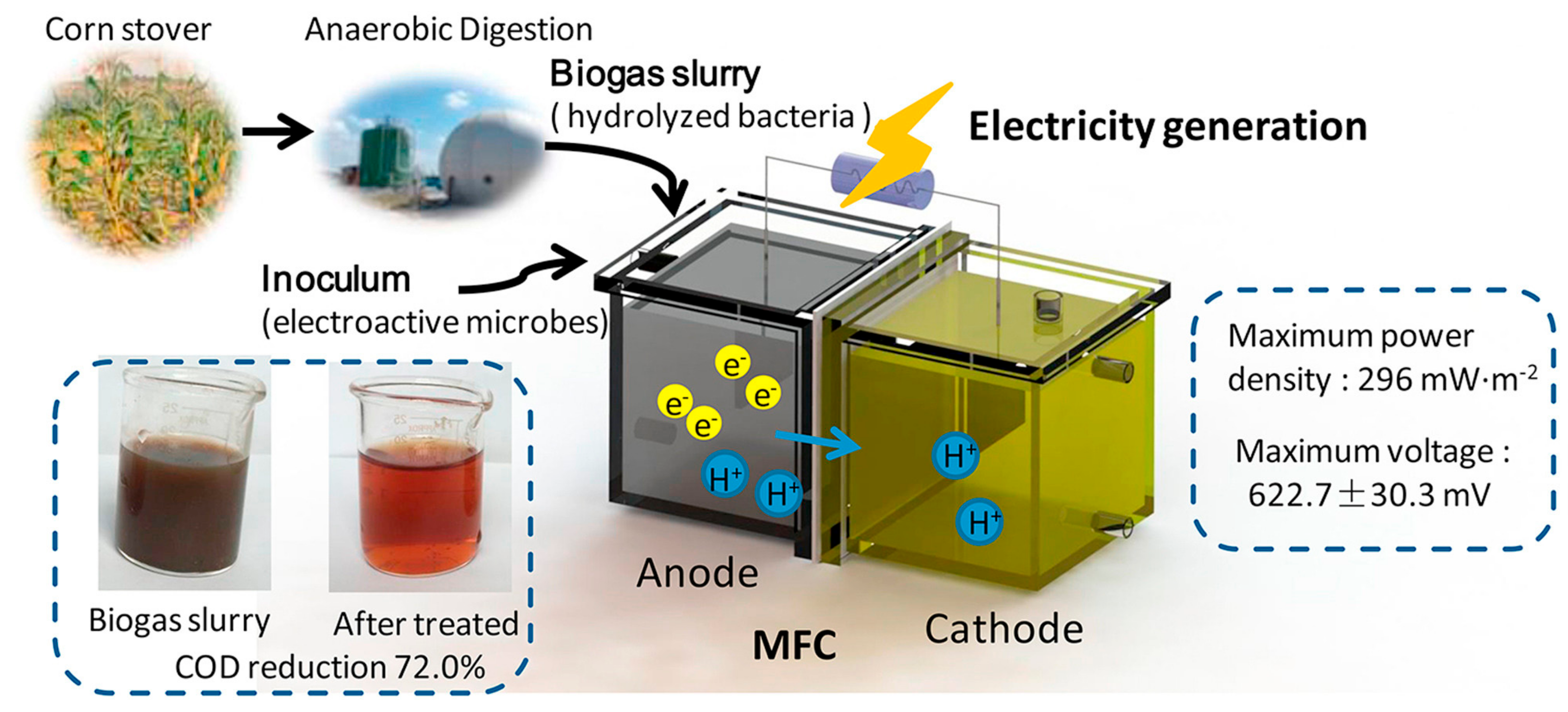 Entropy 23 00260 g003 Entropy 23 00260 g003