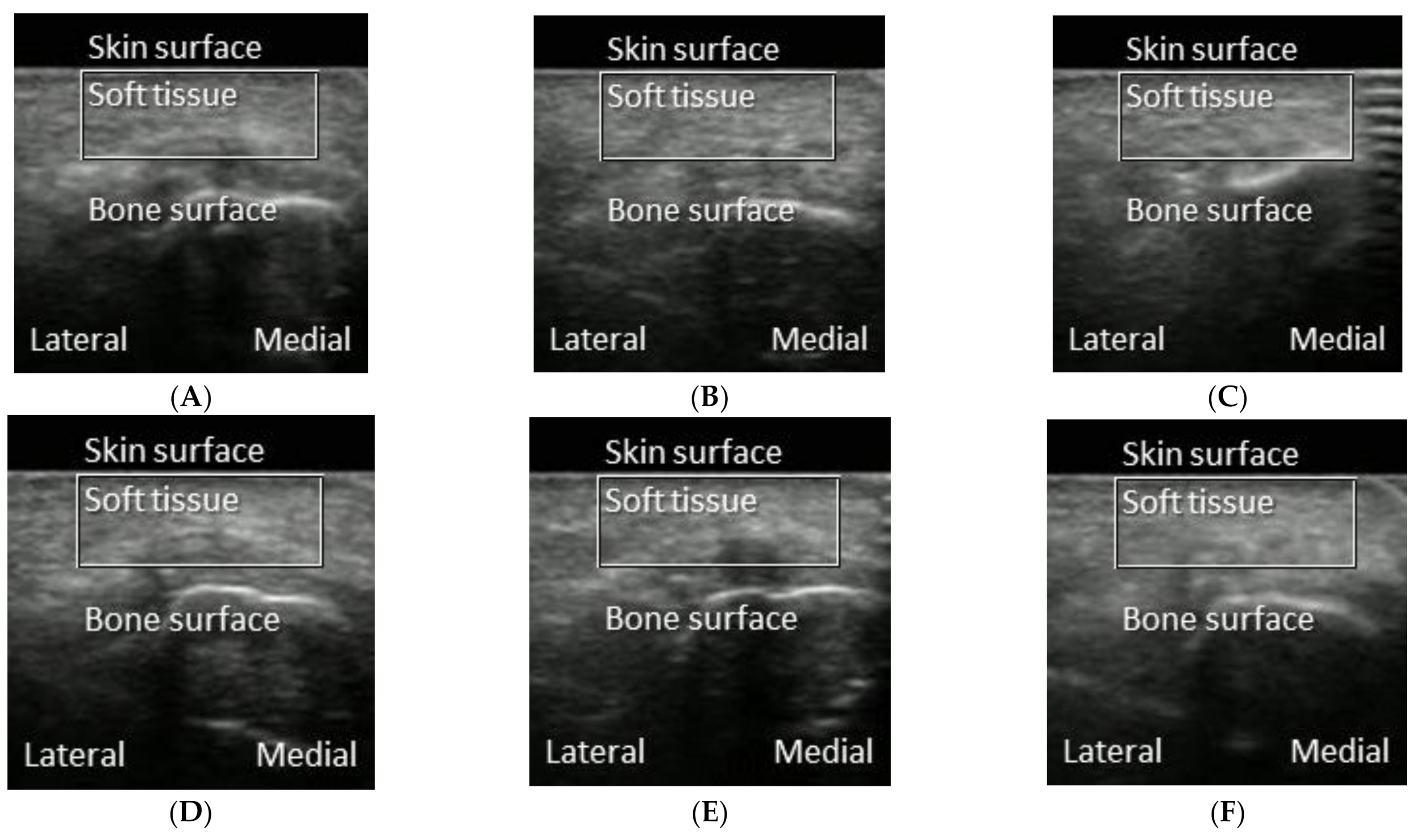 Entropy 23 00264 g001 Entropy 23 00264 g001