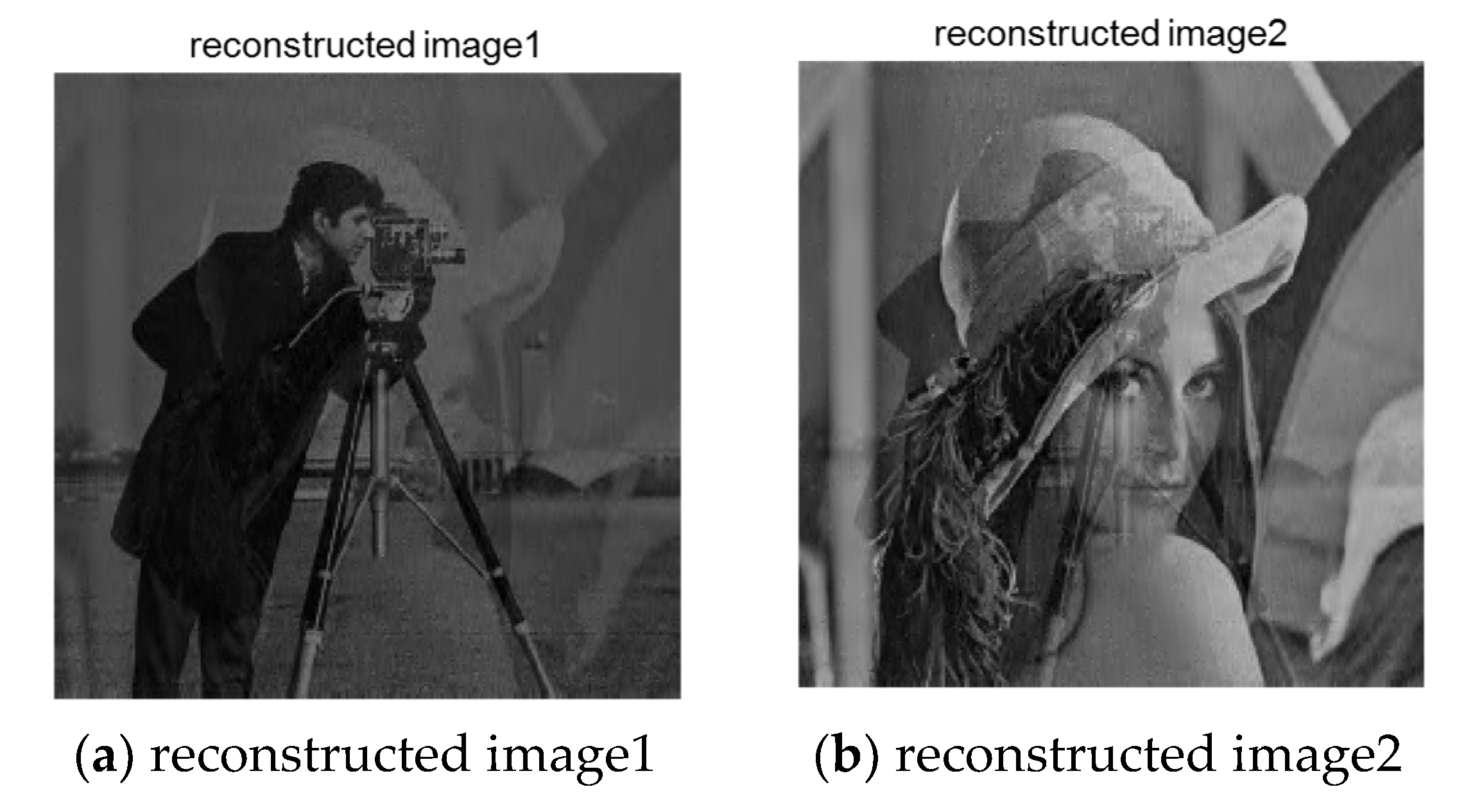 Entropy 23 00278 g011 Entropy 23 00278 g011