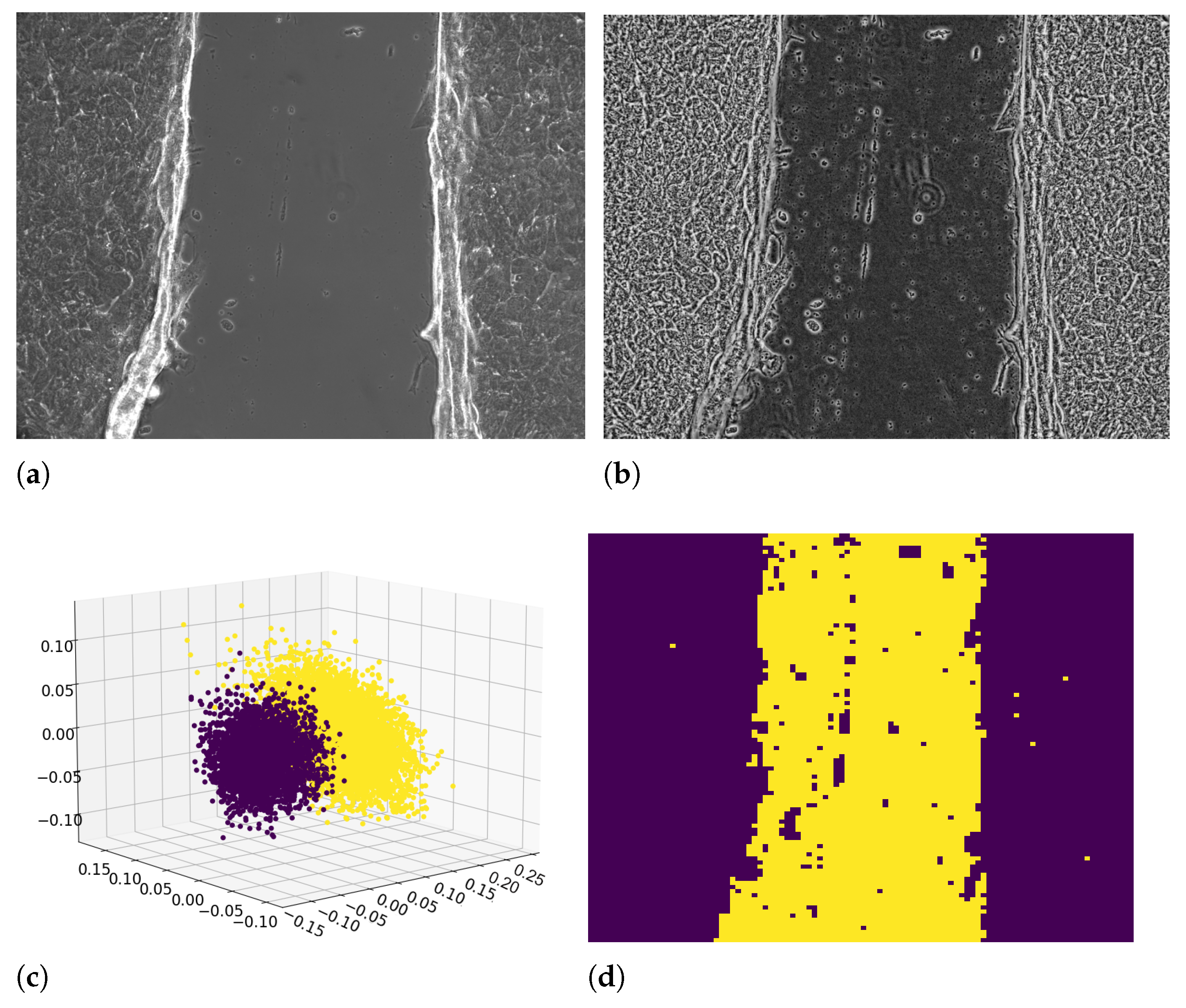 Entropy 23 00284 g001 Entropy 23 00284 g001