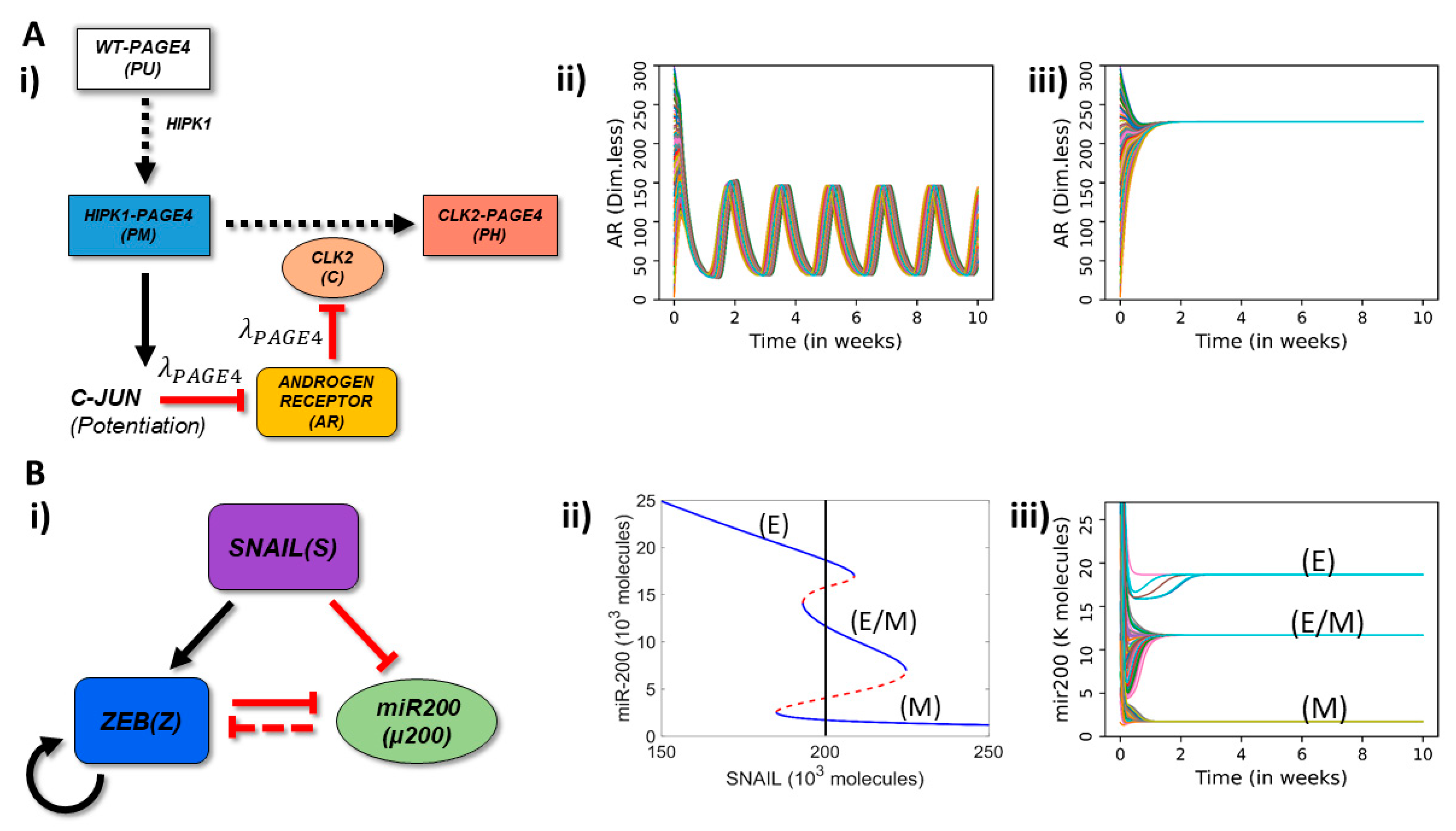 Entropy 23 00288 g001 Entropy 23 00288 g001