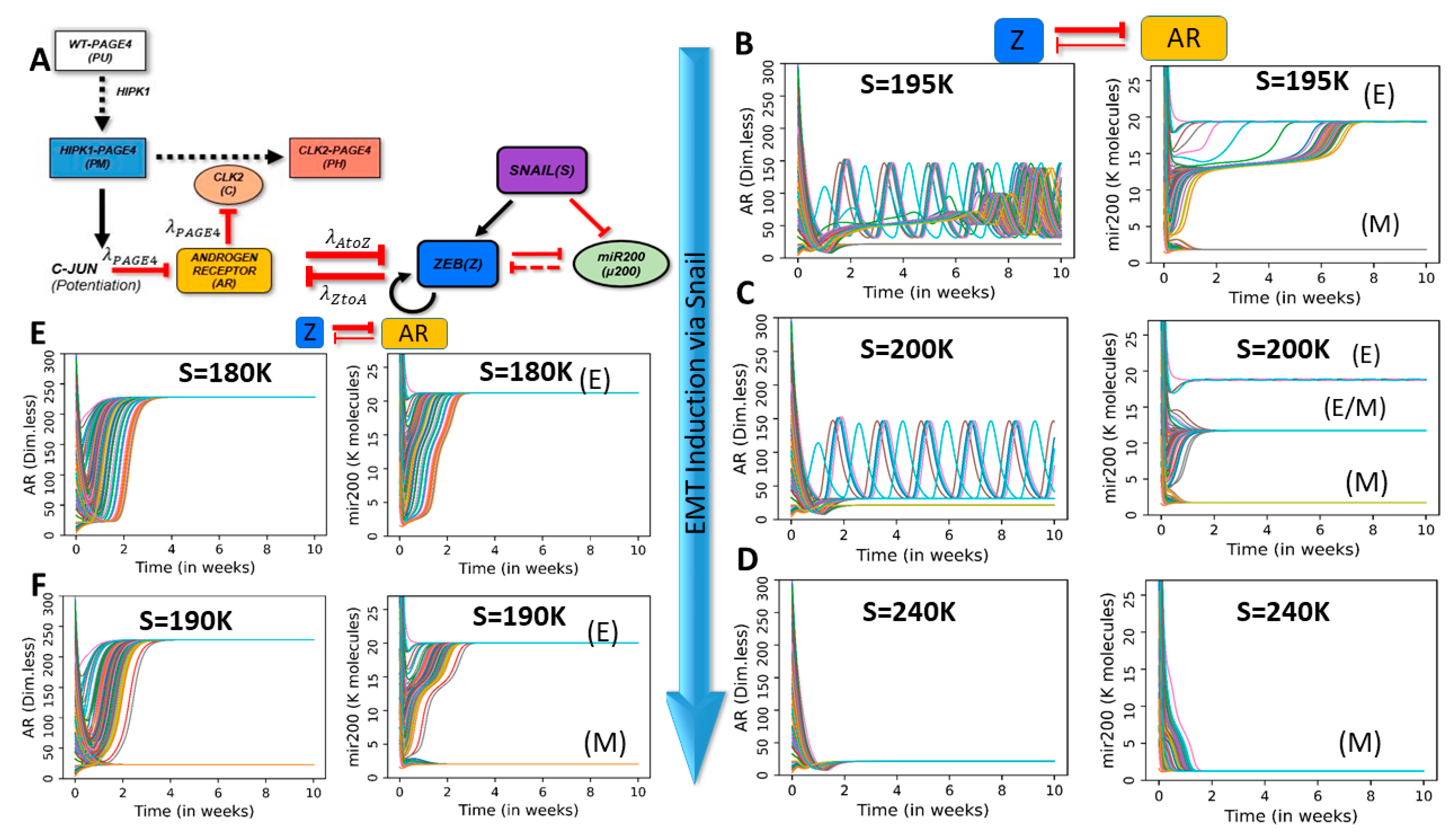 Entropy 23 00288 g003 Entropy 23 00288 g003