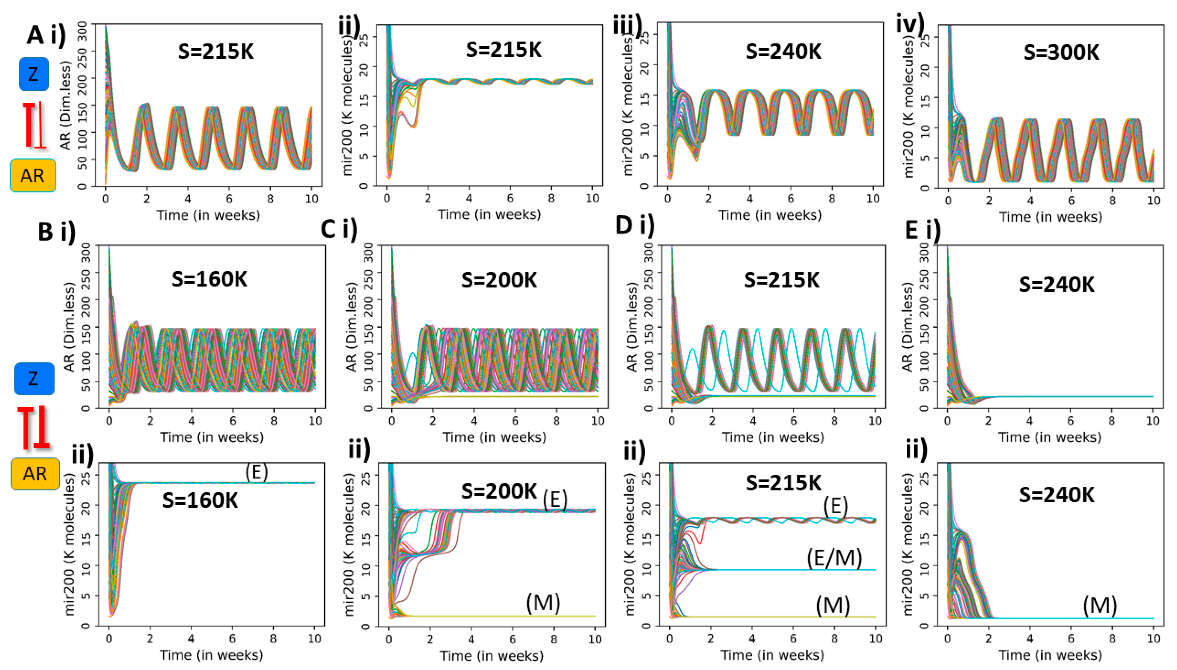Entropy 23 00288 g004 Entropy 23 00288 g004