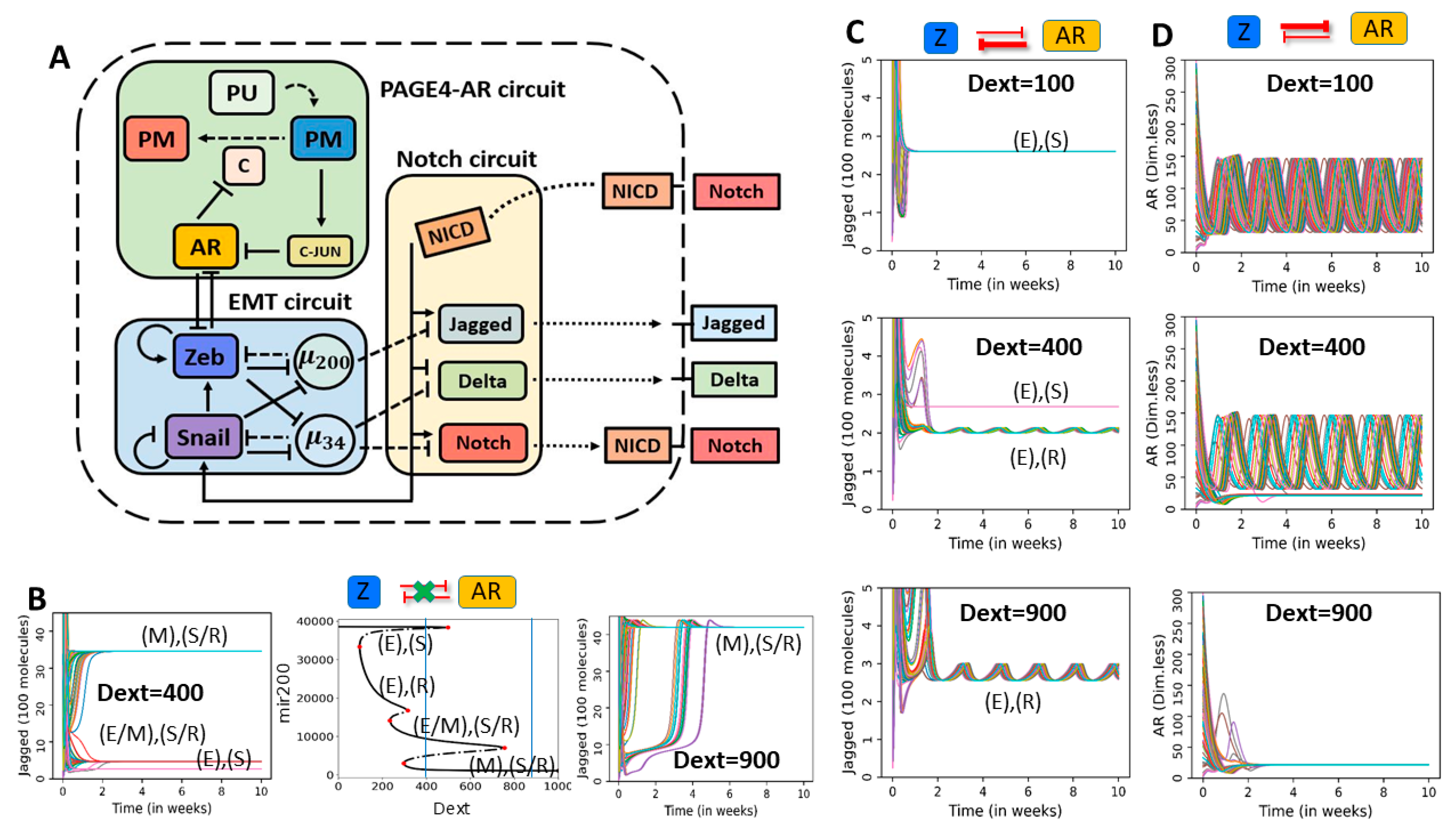 Entropy 23 00288 g006 Entropy 23 00288 g006