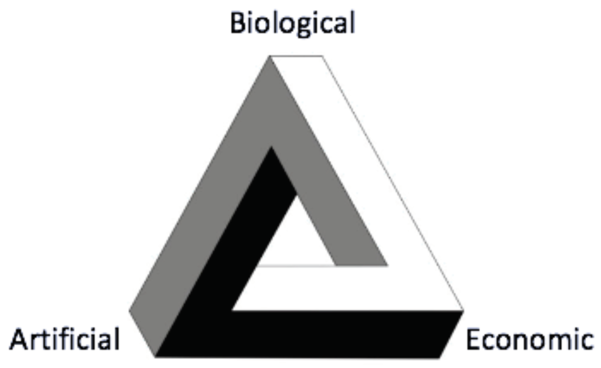 Entropy Free Full Text Information Theory For Agents In Artificial Intelligence Psychology And Economics Html