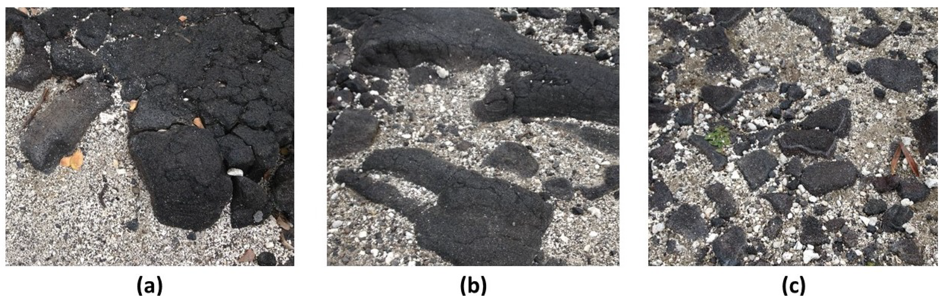 Entropy 23 00319 g014