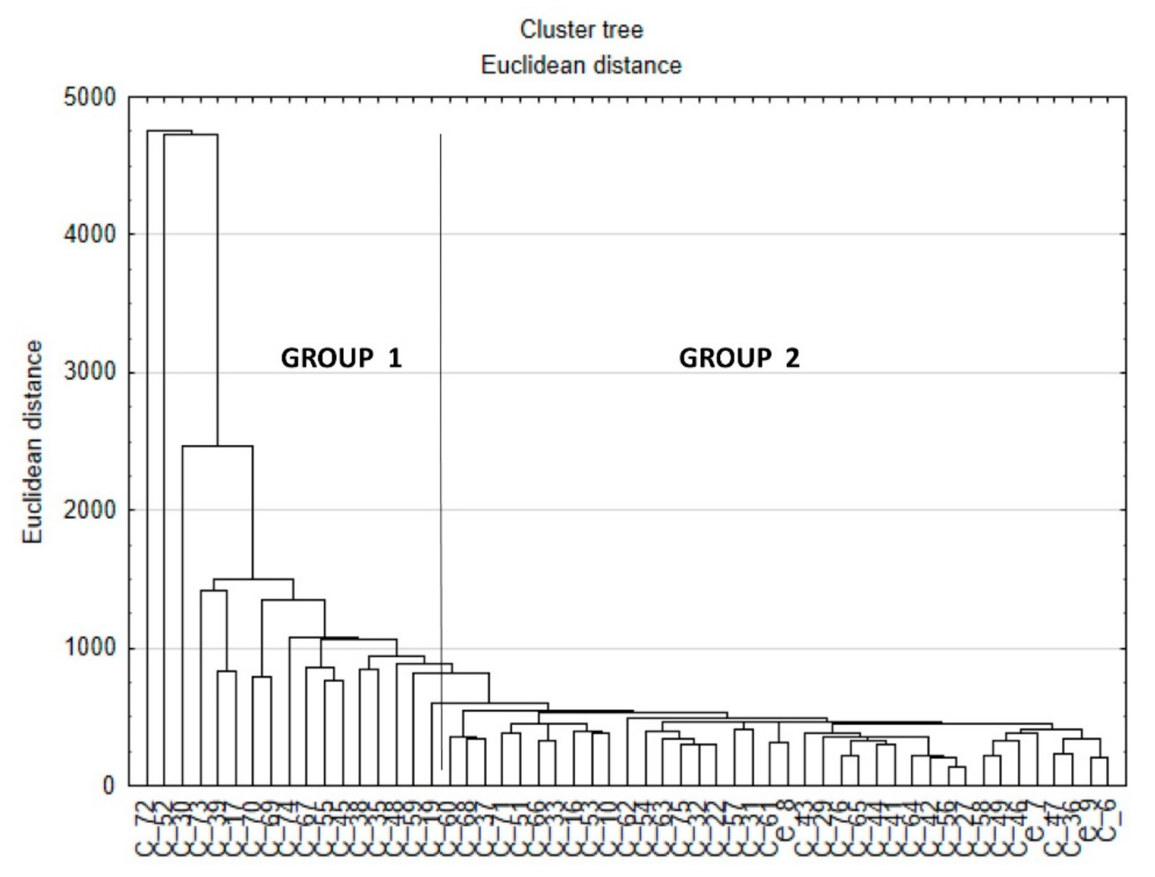 Entropy 23 00359 g002