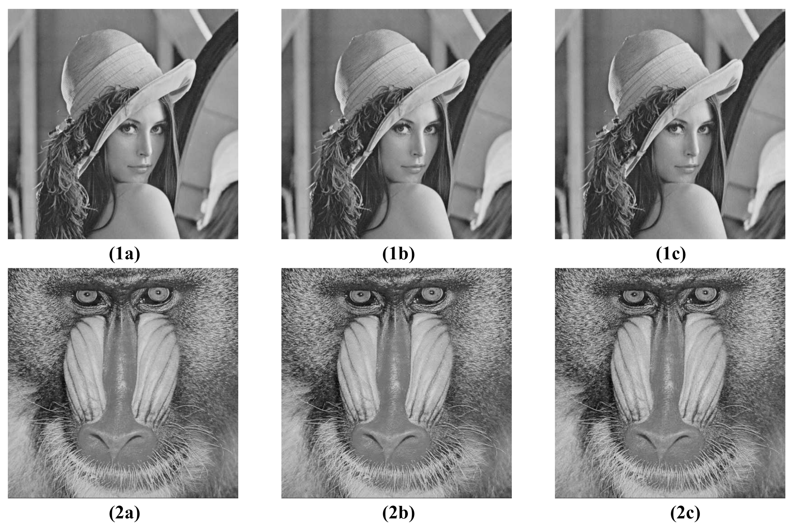 Entropy 23 00421 g012 Entropy 23 00421 g012