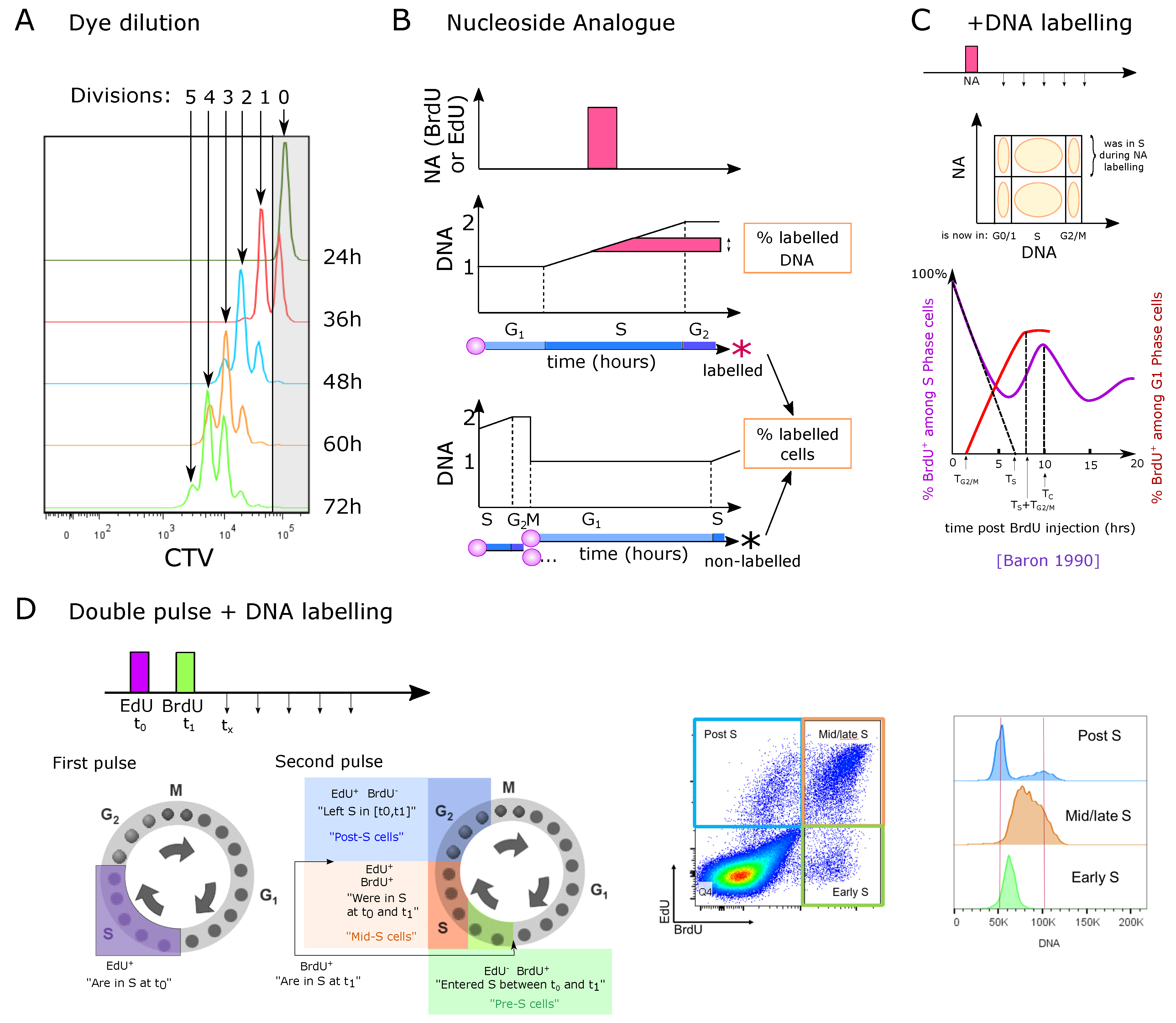 Entropy 23 00437 g004 Entropy 23 00437 g004
