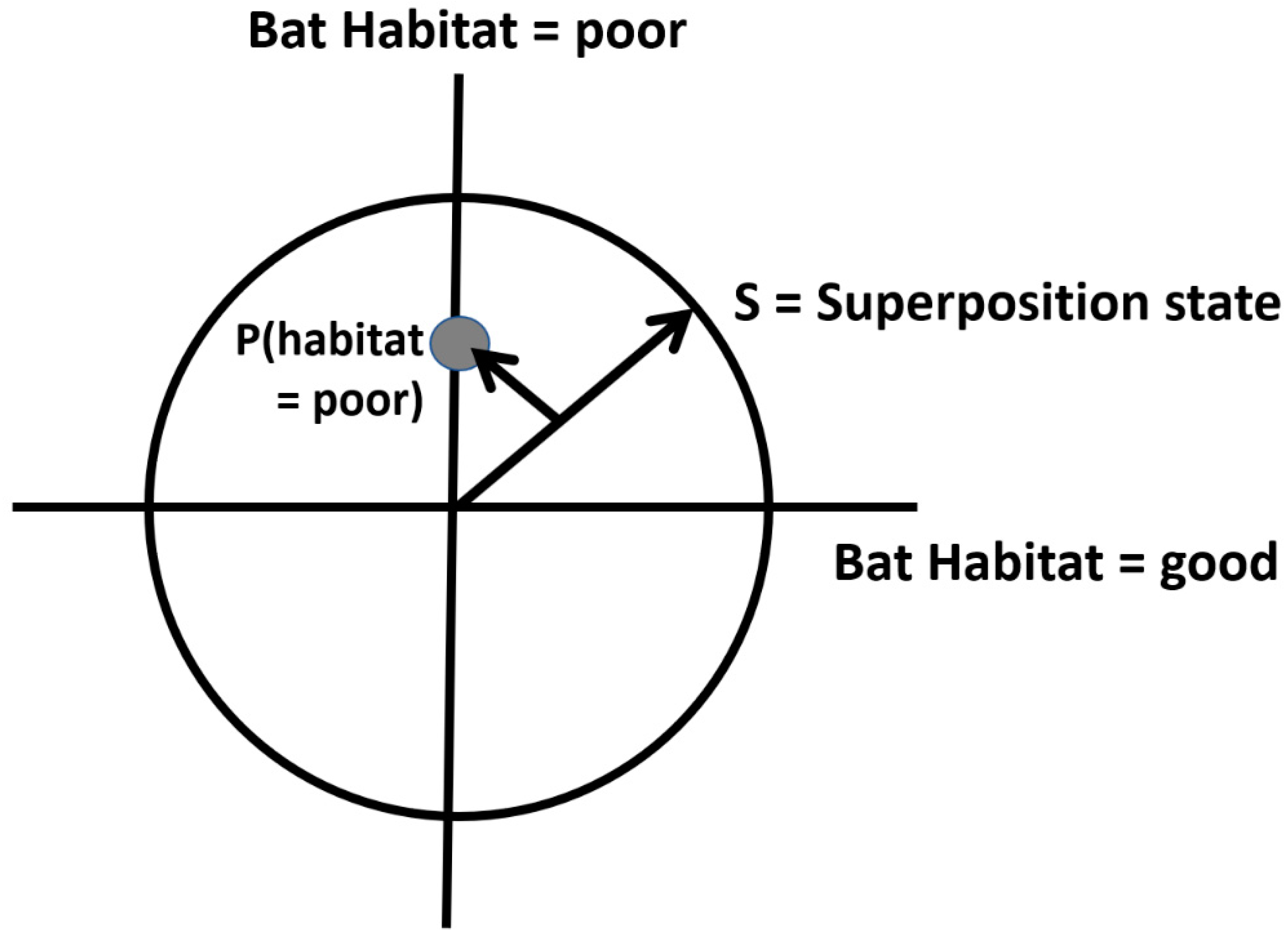 Entropy 23 00441 g001