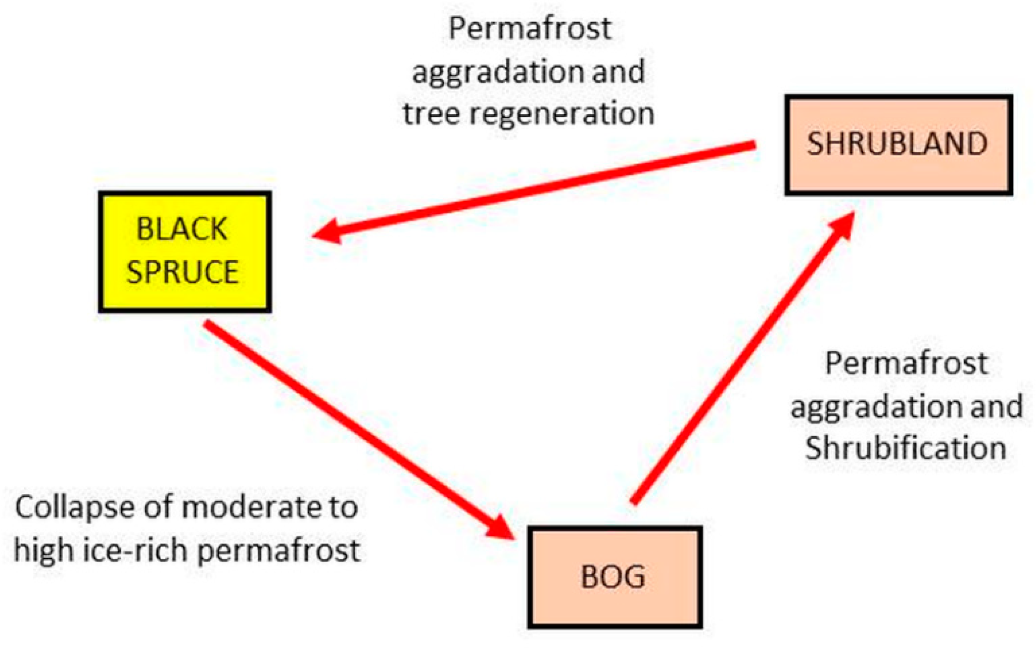 Entropy 23 00441 g007