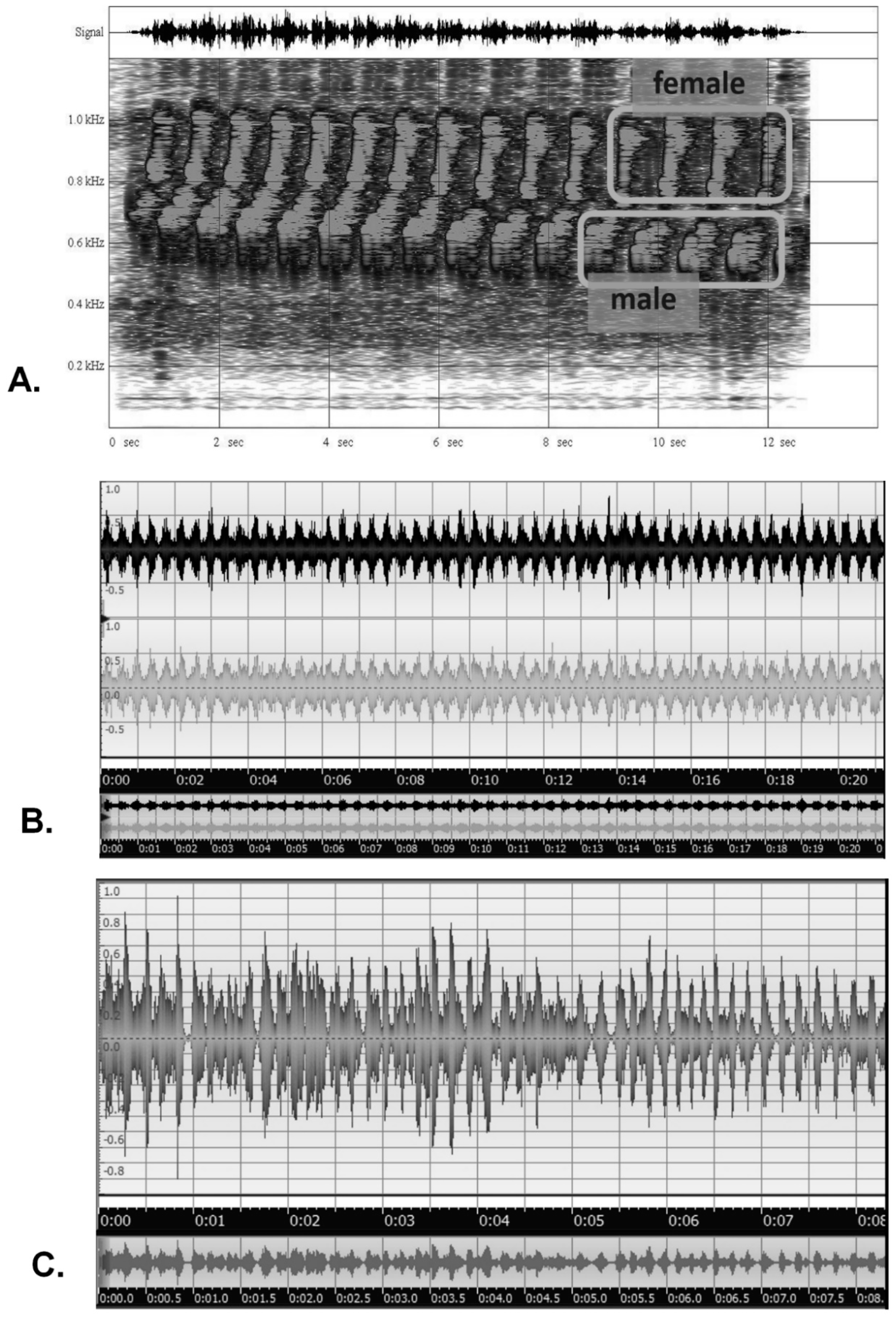 Entropy 23 00441 g008