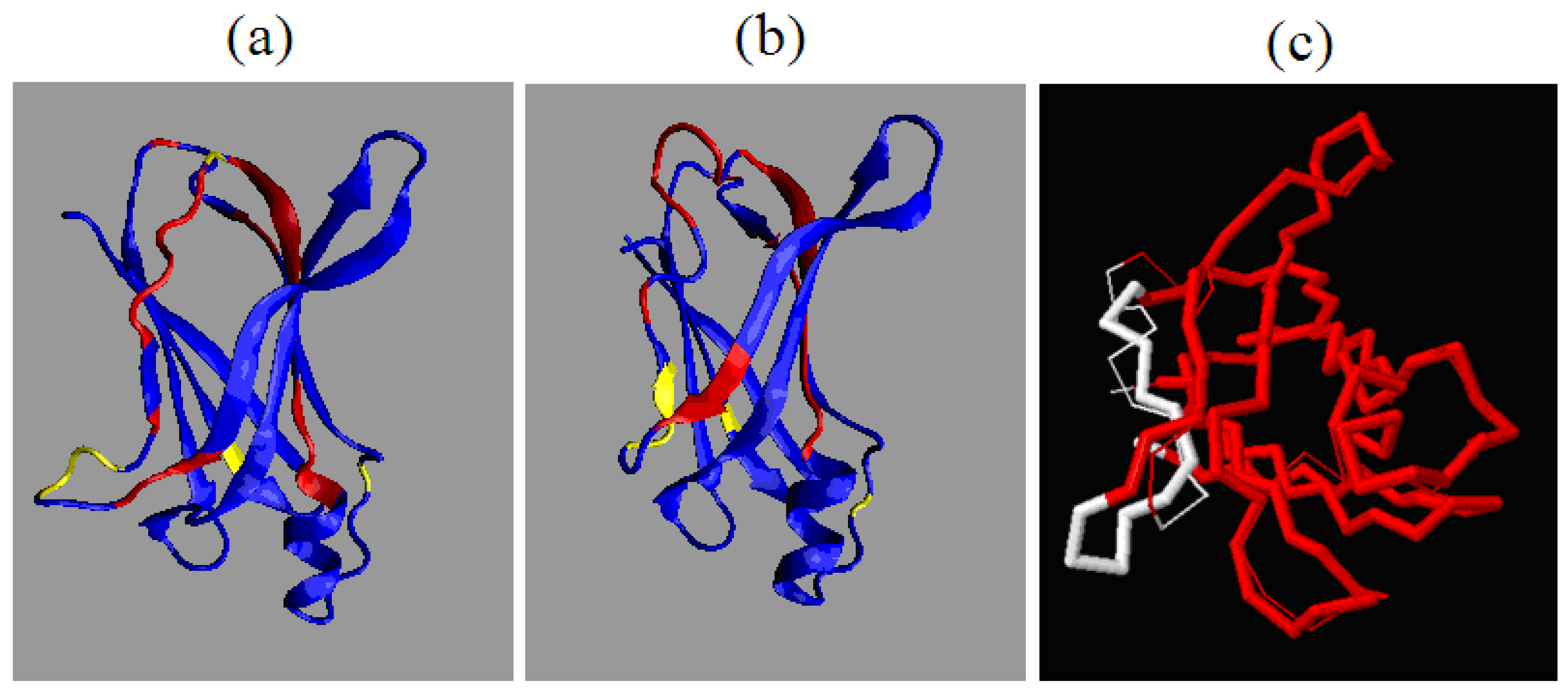 Entropy 23 00458 g003