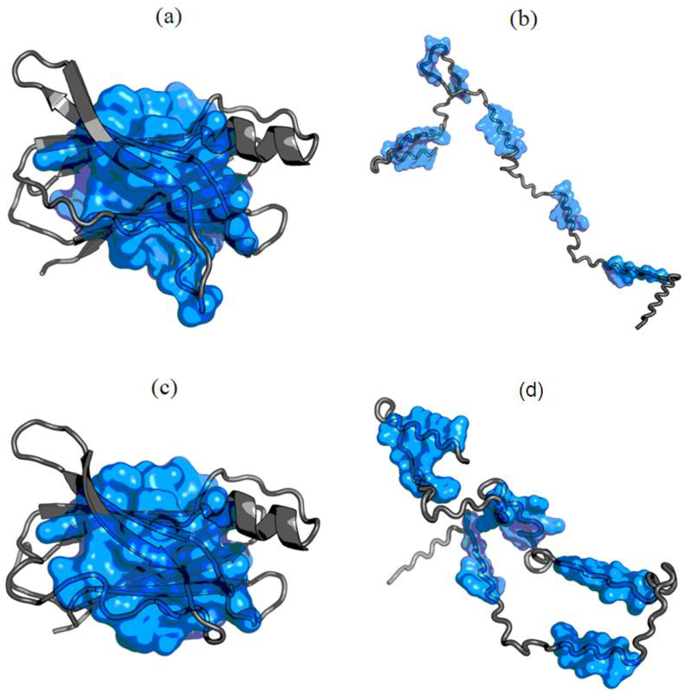Entropy 23 00458 g010