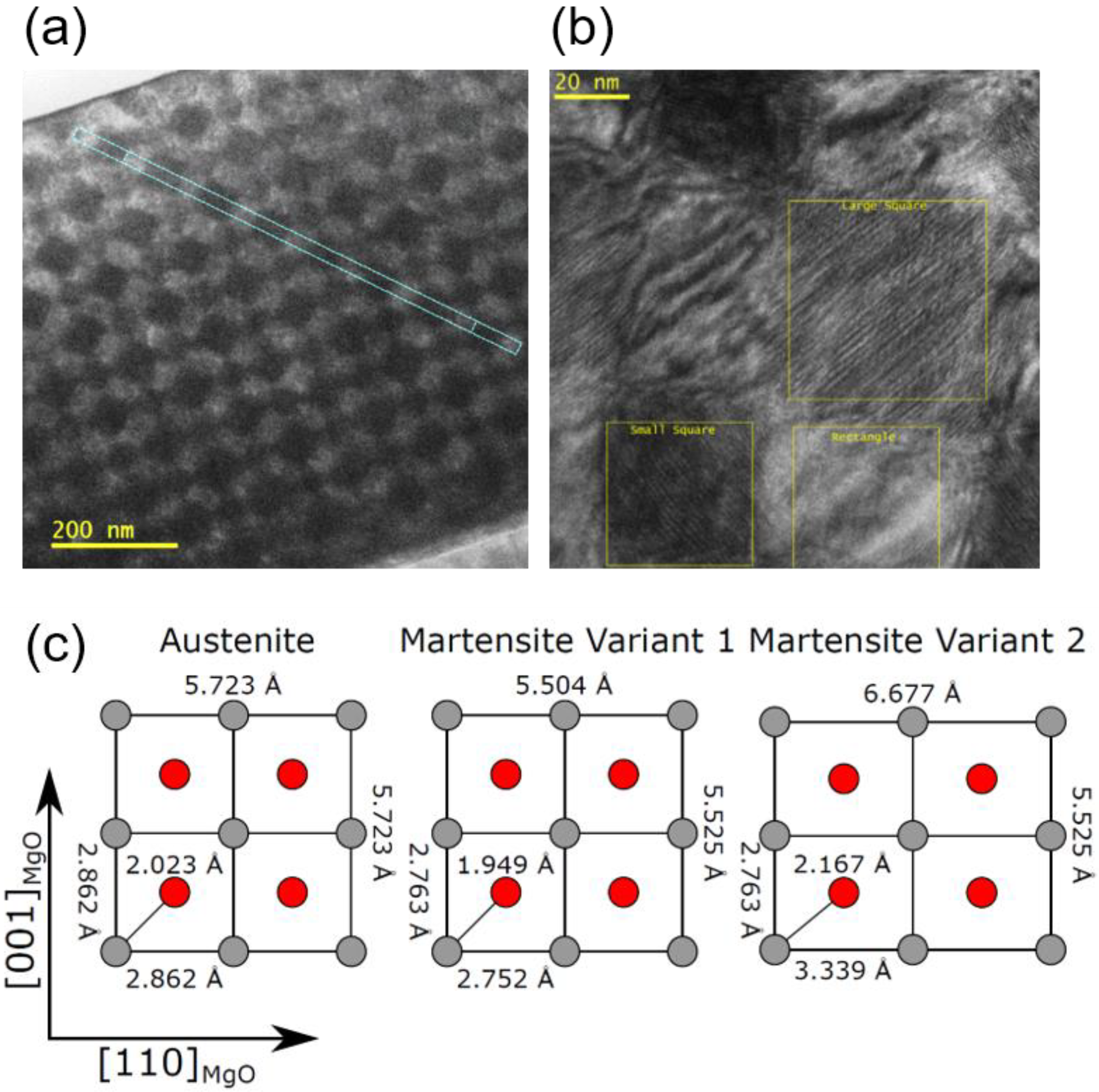 Entropy 23 00462 g008