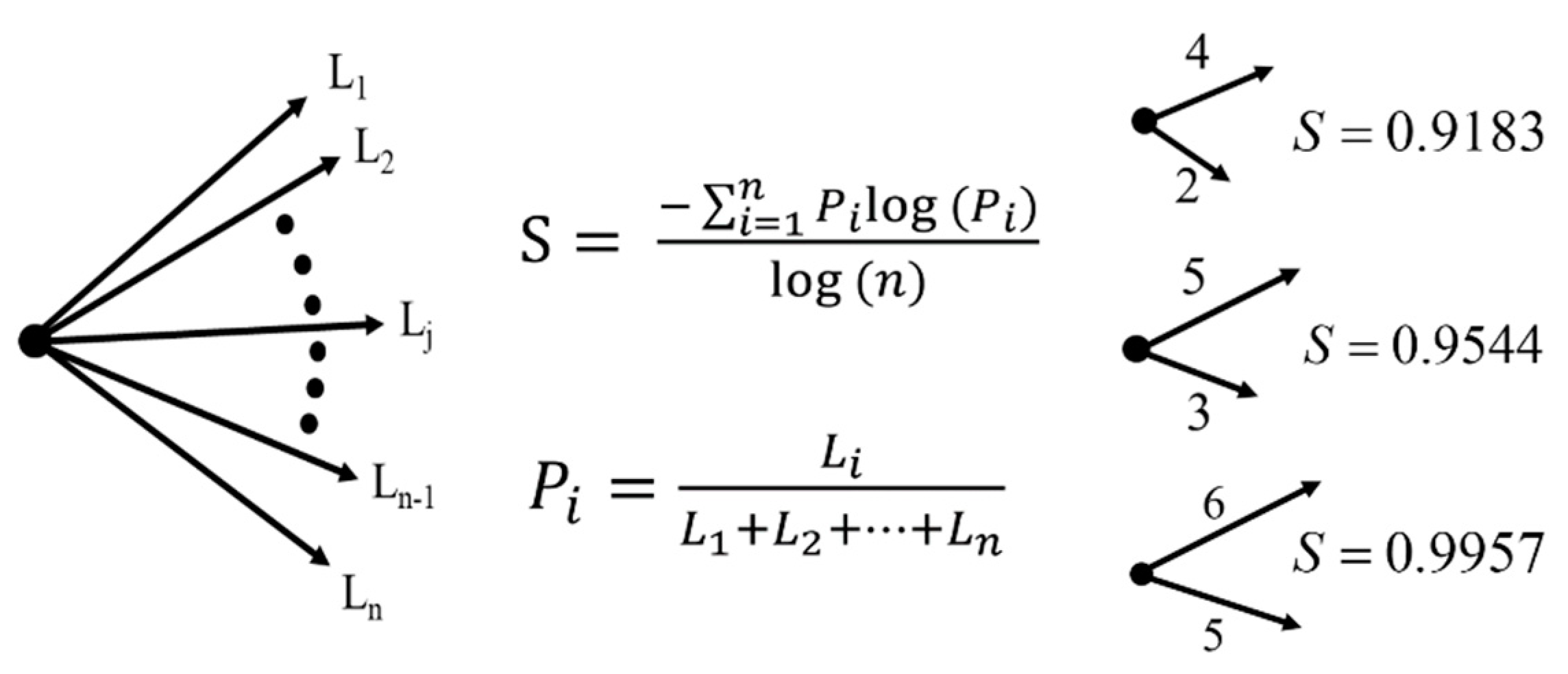 Entropy 23 00480 g001