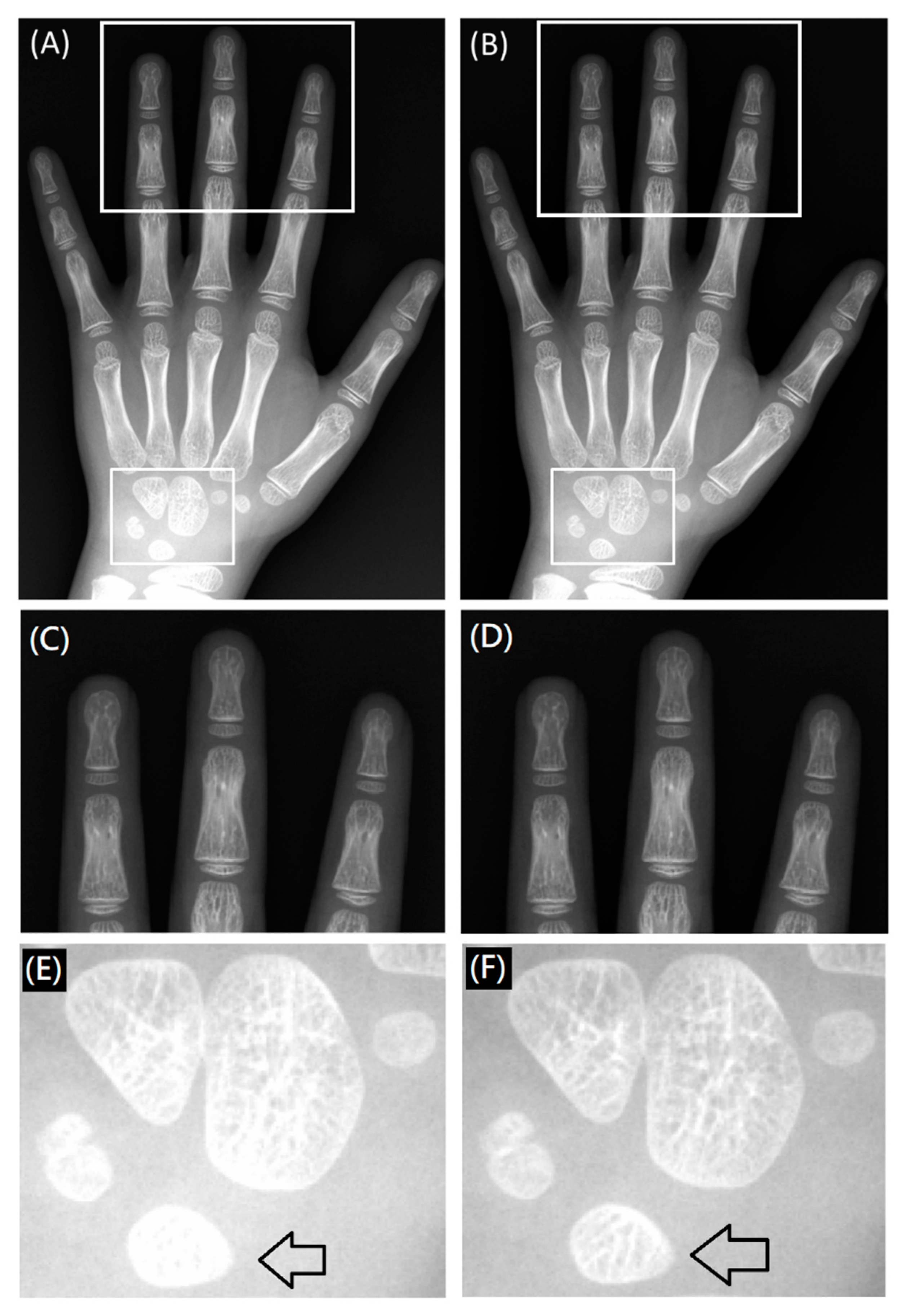 Entropy 23 00525 g009
