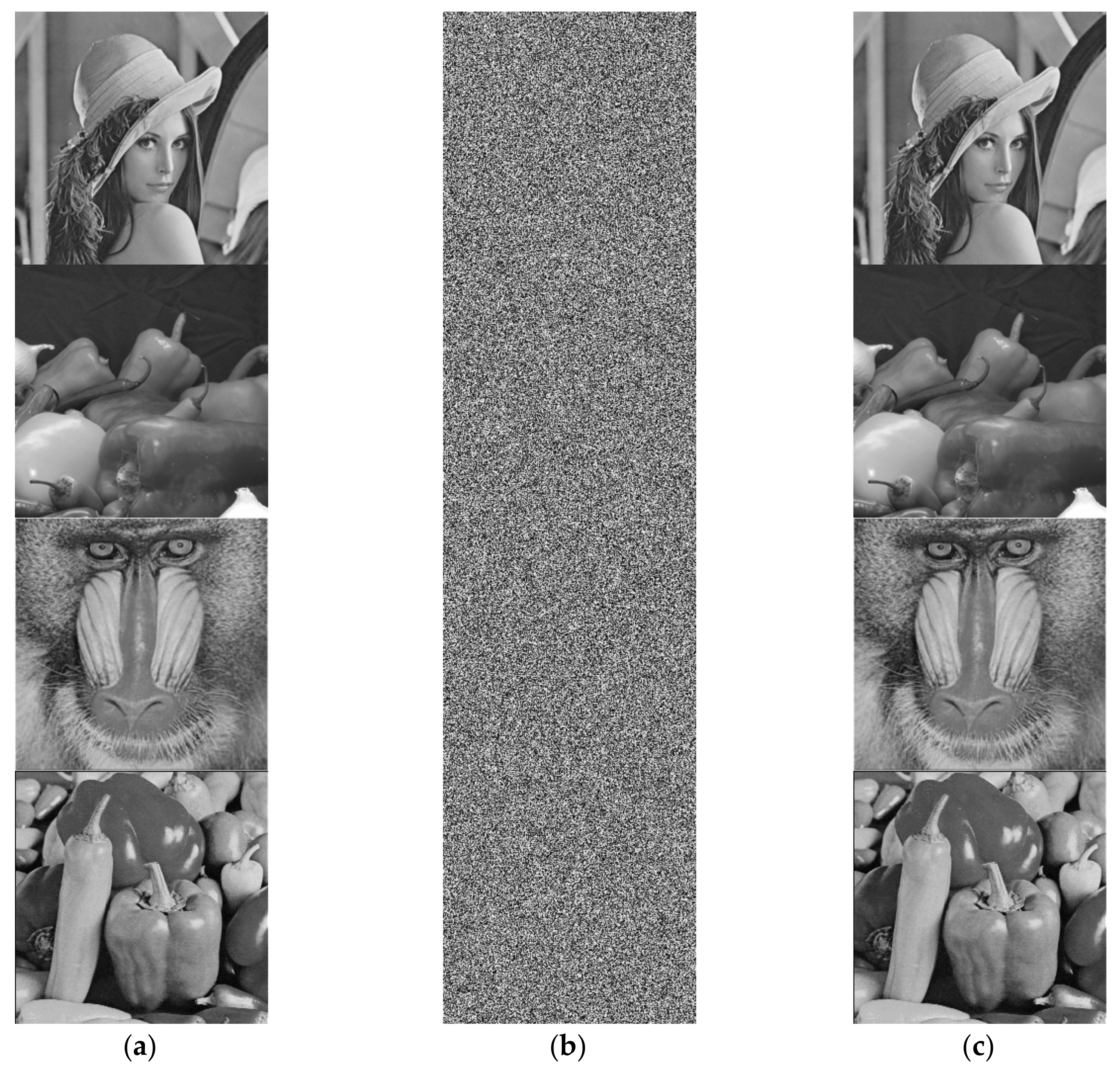 Entropy 23 00535 g005