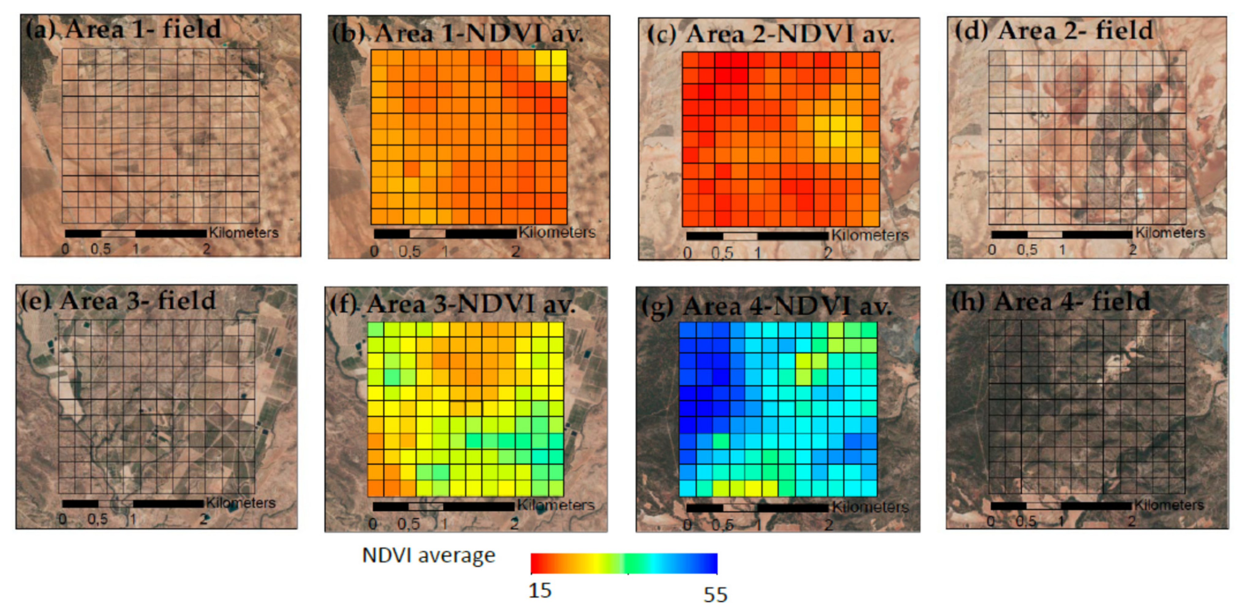 Entropy 23 00576 g002