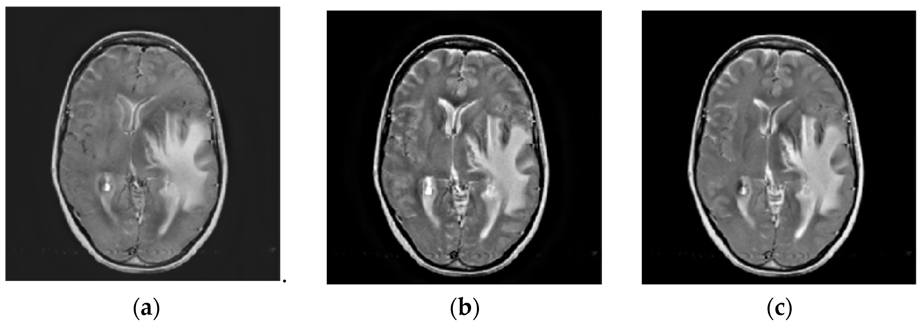 Entropy 23 00591 g009a Entropy 23 00591 g009a