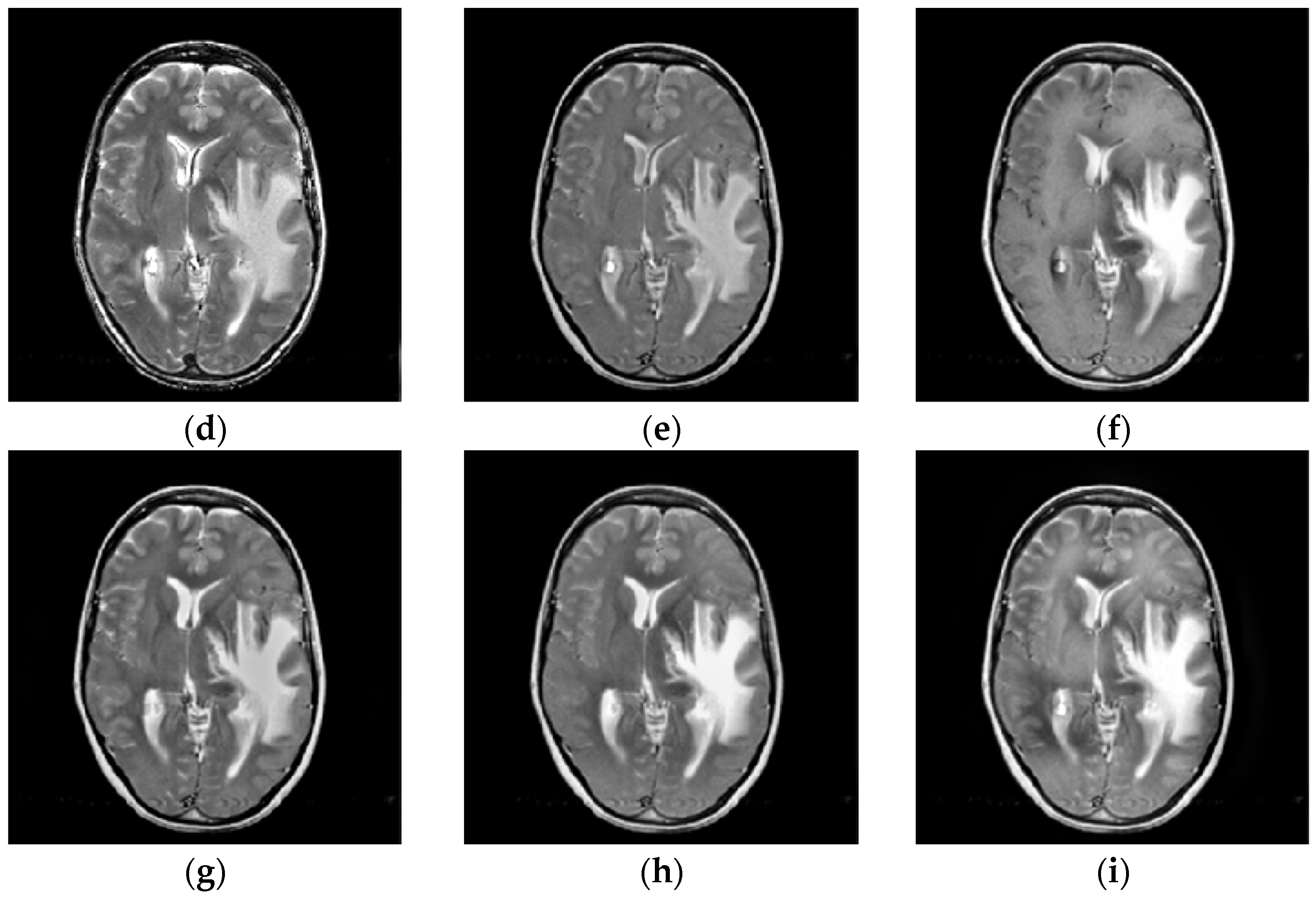 Entropy 23 00591 g009b Entropy 23 00591 g009b