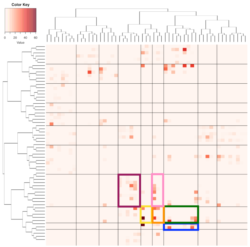 Entropy 23 00594 g008