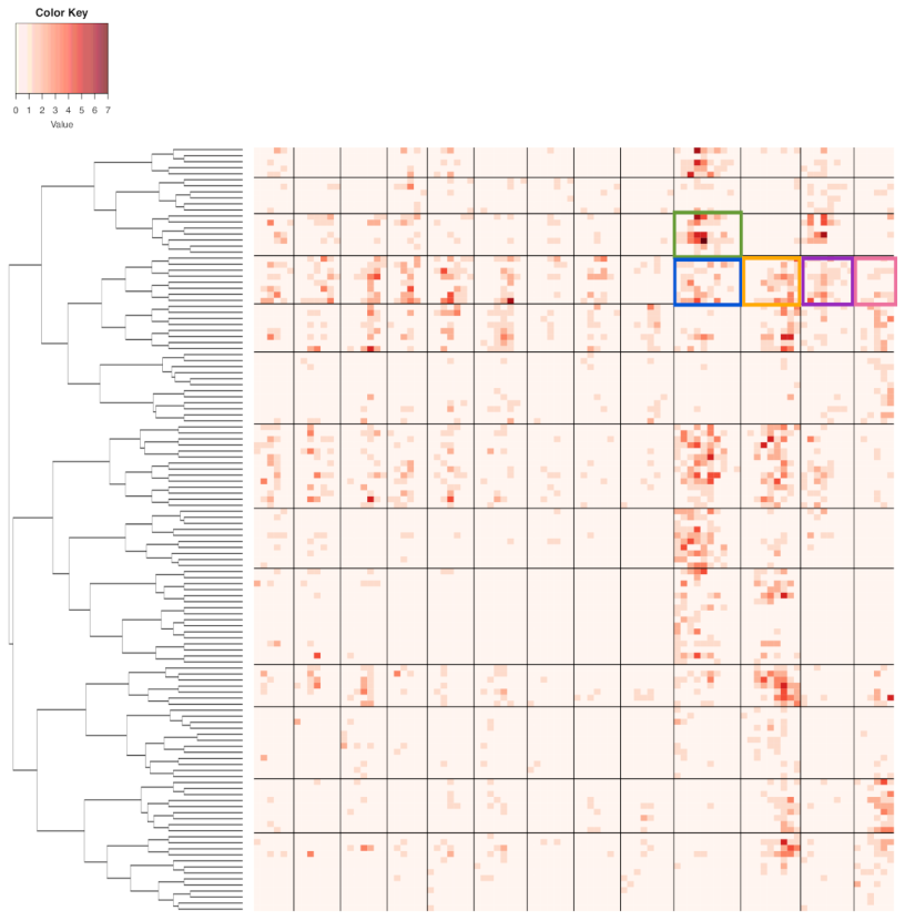 Entropy 23 00594 g014