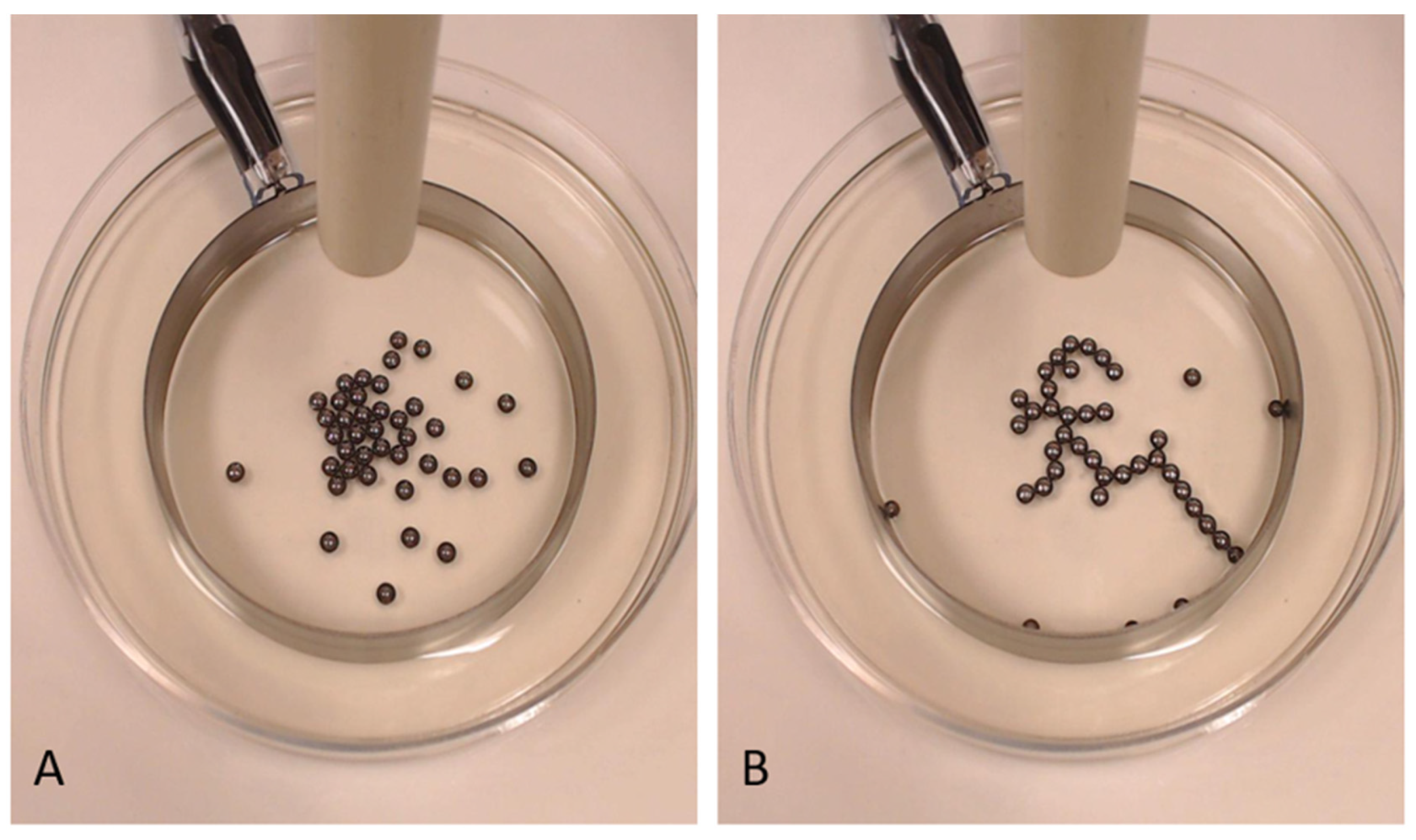 Entropy 23 00614 g001 Entropy 23 00614 g001