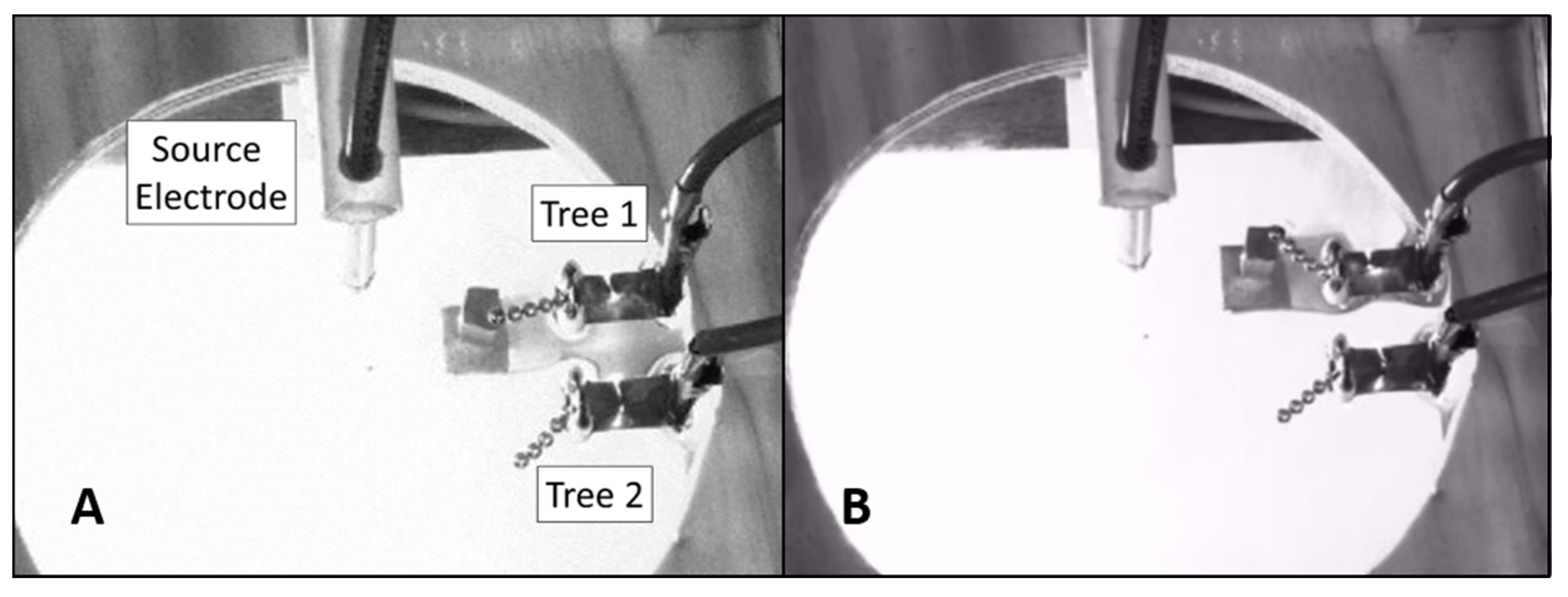 Entropy 23 00614 g002 Entropy 23 00614 g002