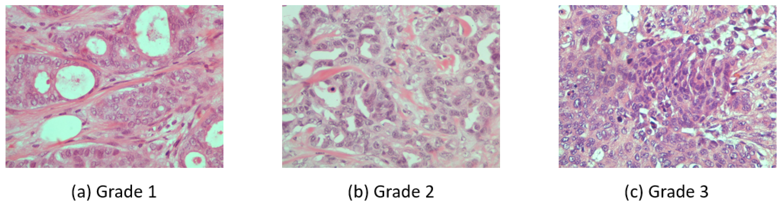Entropy 23 00620 g001