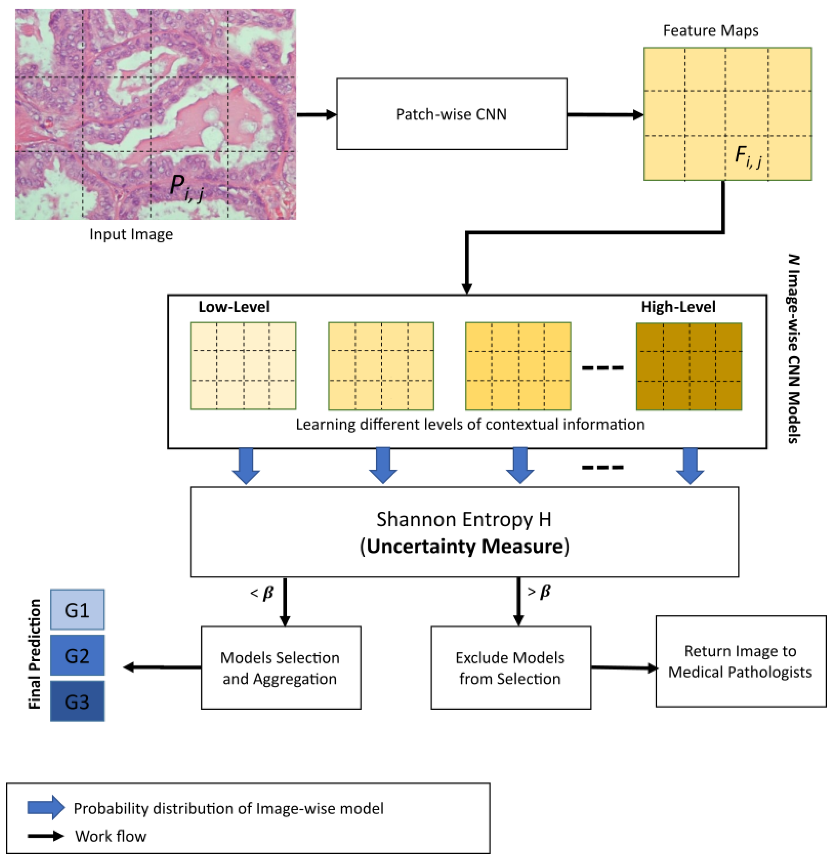 Entropy 23 00620 g002