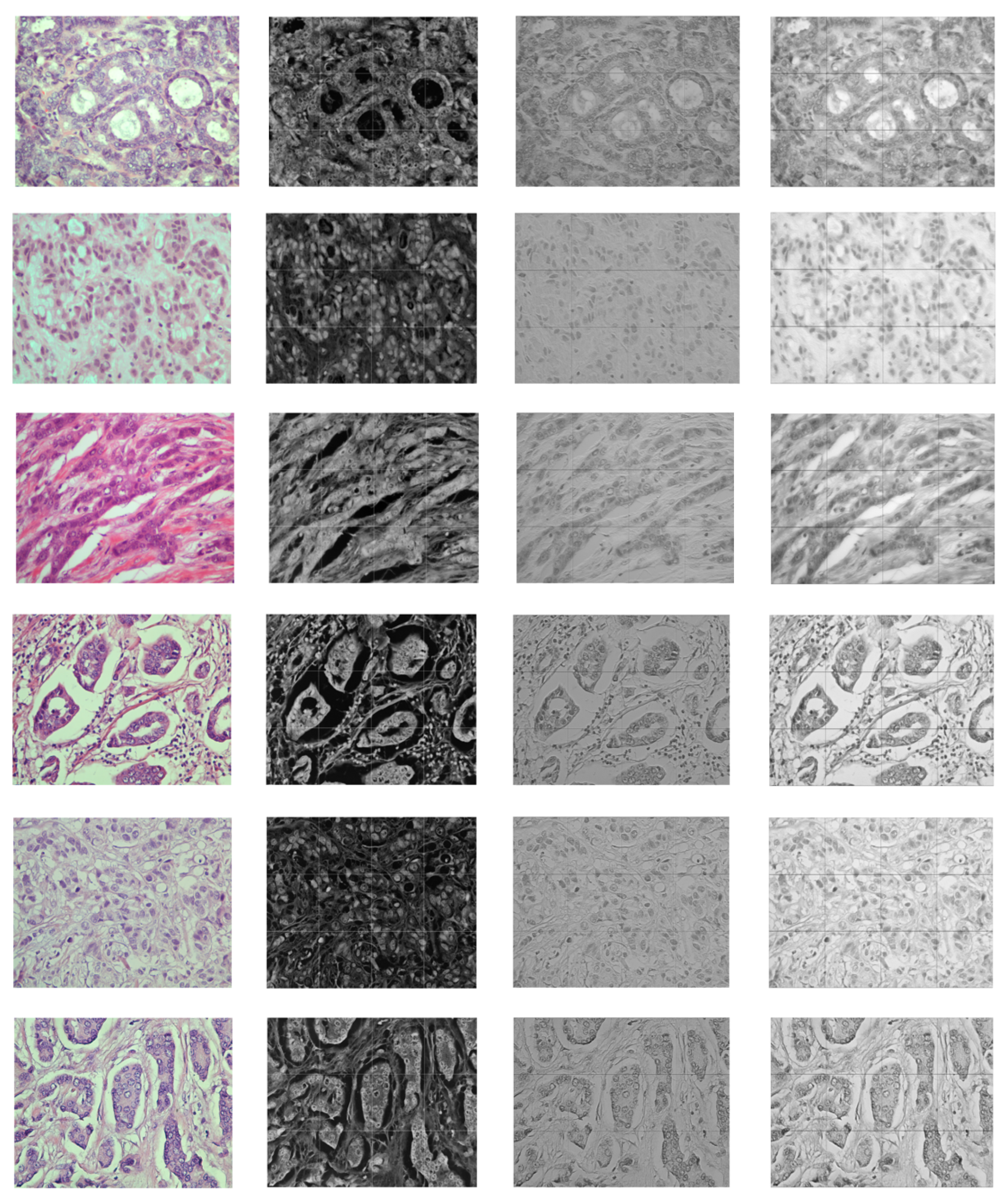 Entropy 23 00620 g006