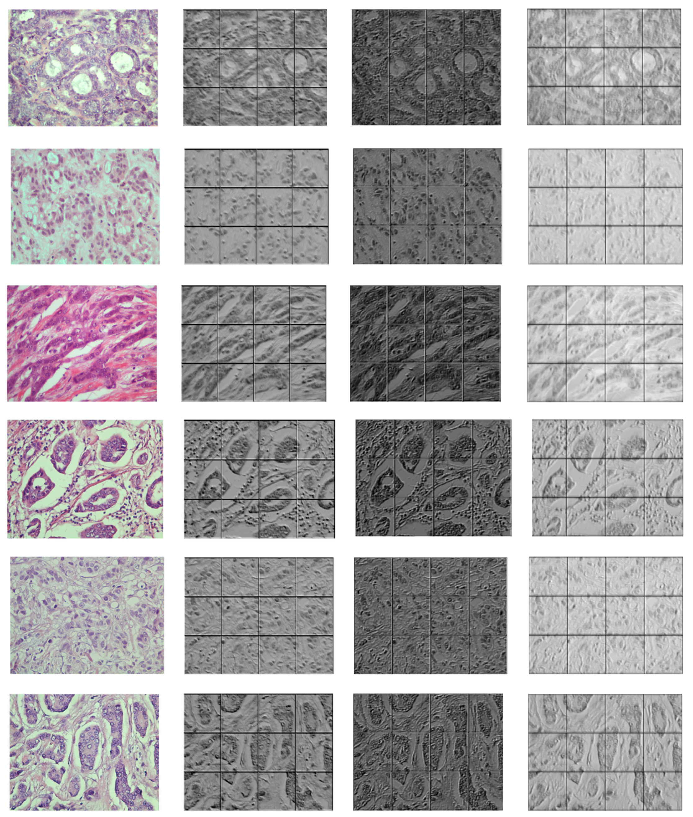 Entropy 23 00620 g007