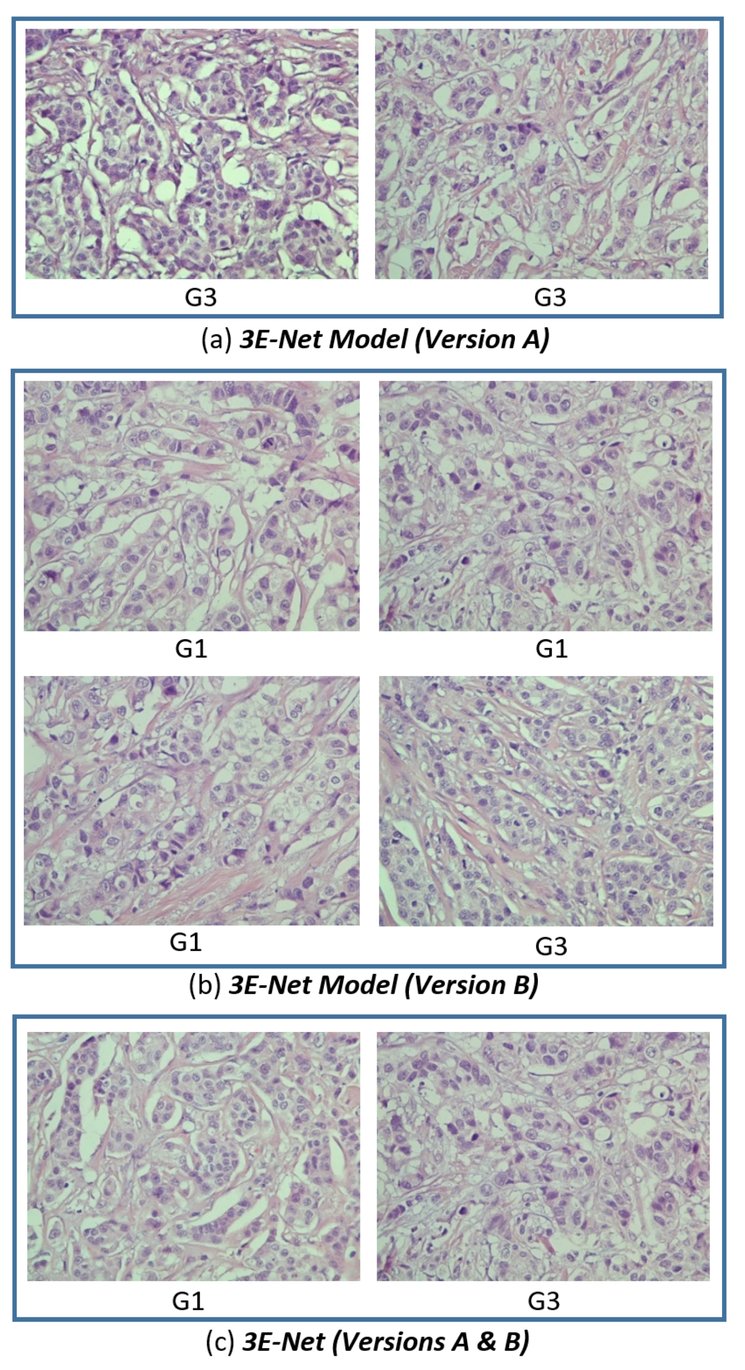 Entropy 23 00620 g008