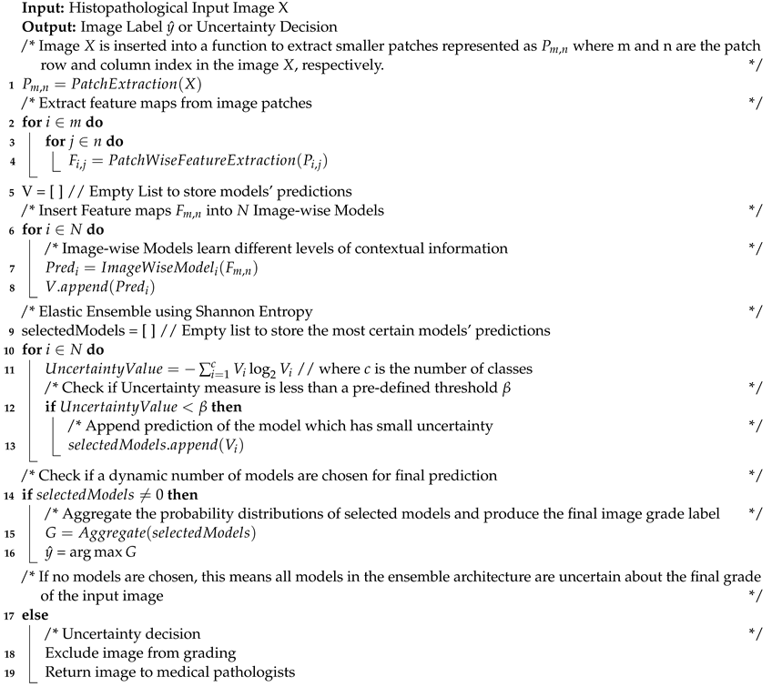 Entropy 23 00620 i001