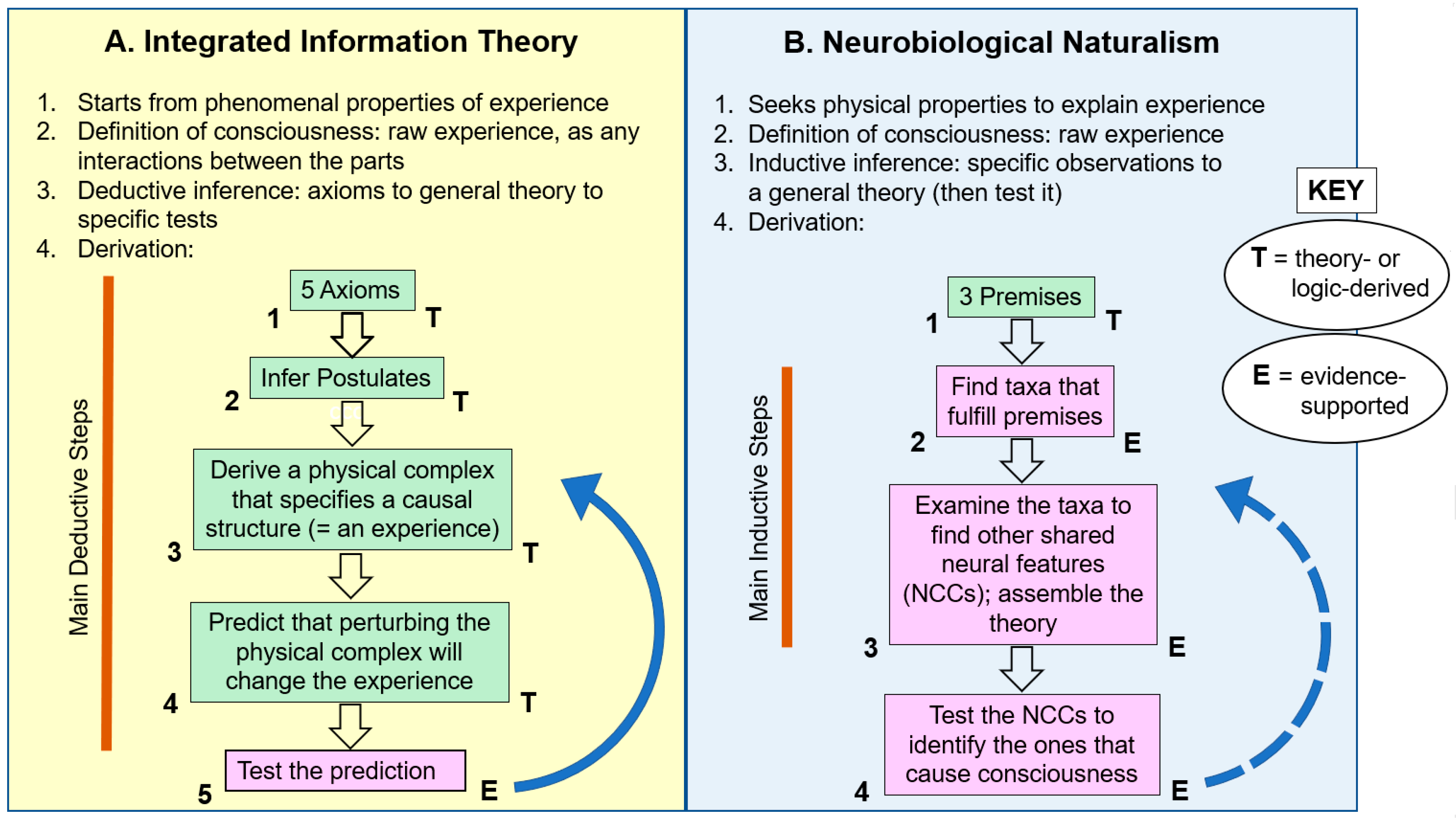 Physicist Claims To Have Solved the Mystery of Consciousness