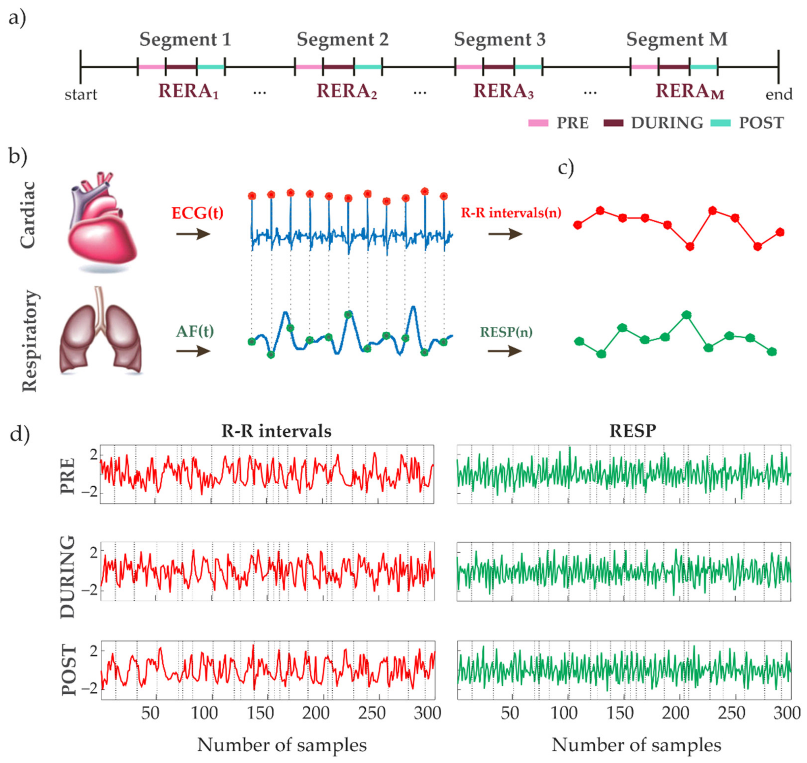 Entropy Free Full Text Assessment Of Cardiorespiratory Interactions During Apneic Events In Sleep Via Fuzzy Kernel Measures Of Information Dynamics Html
