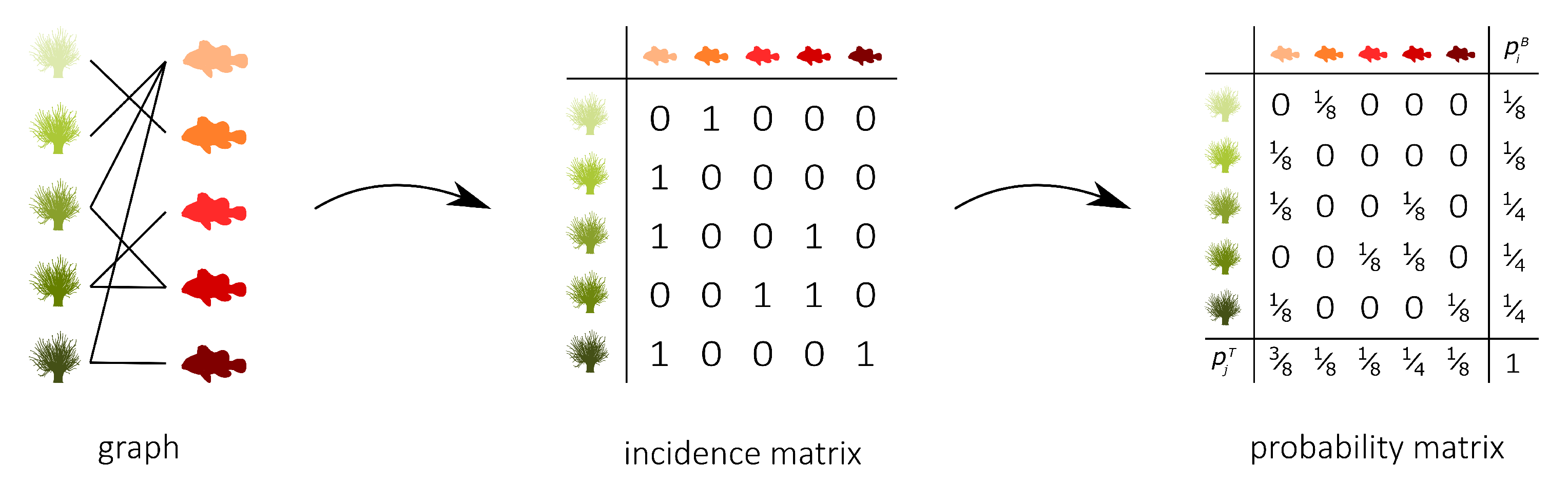 Entropy 23 00703 g001