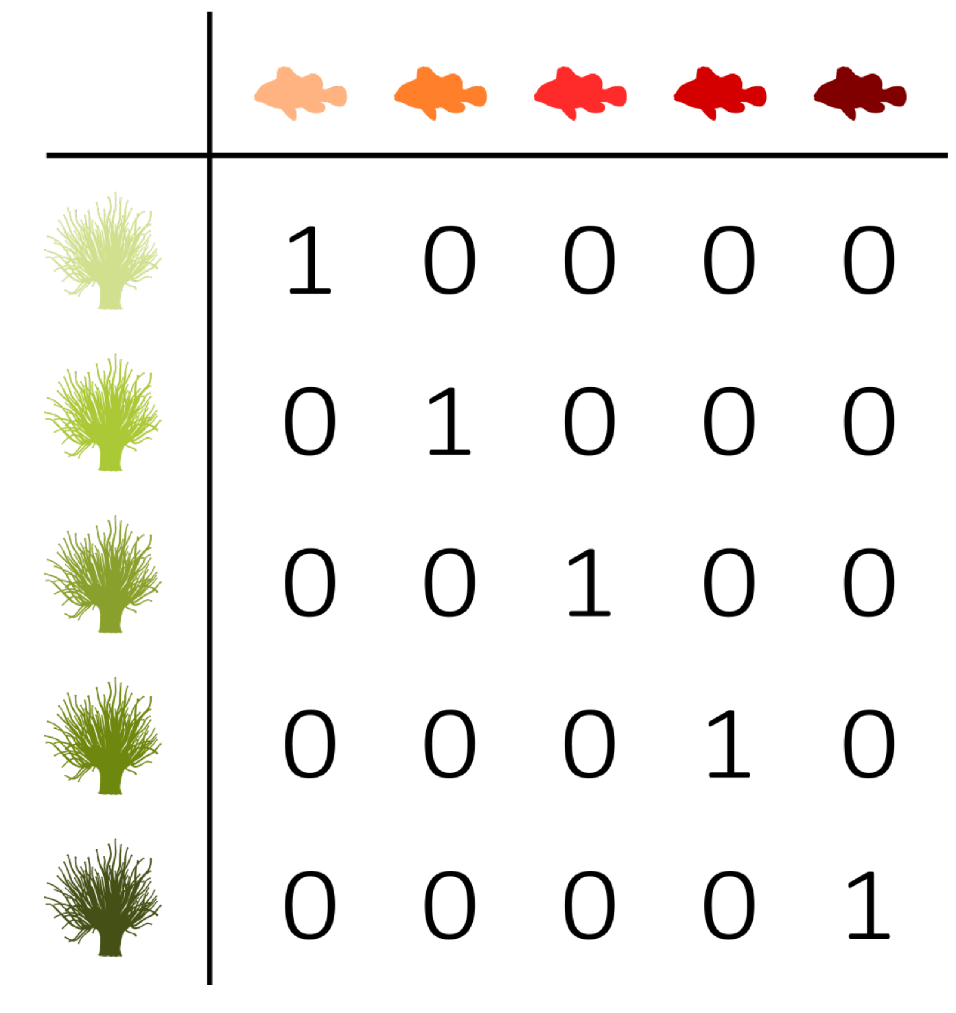 Entropy 23 00703 i001