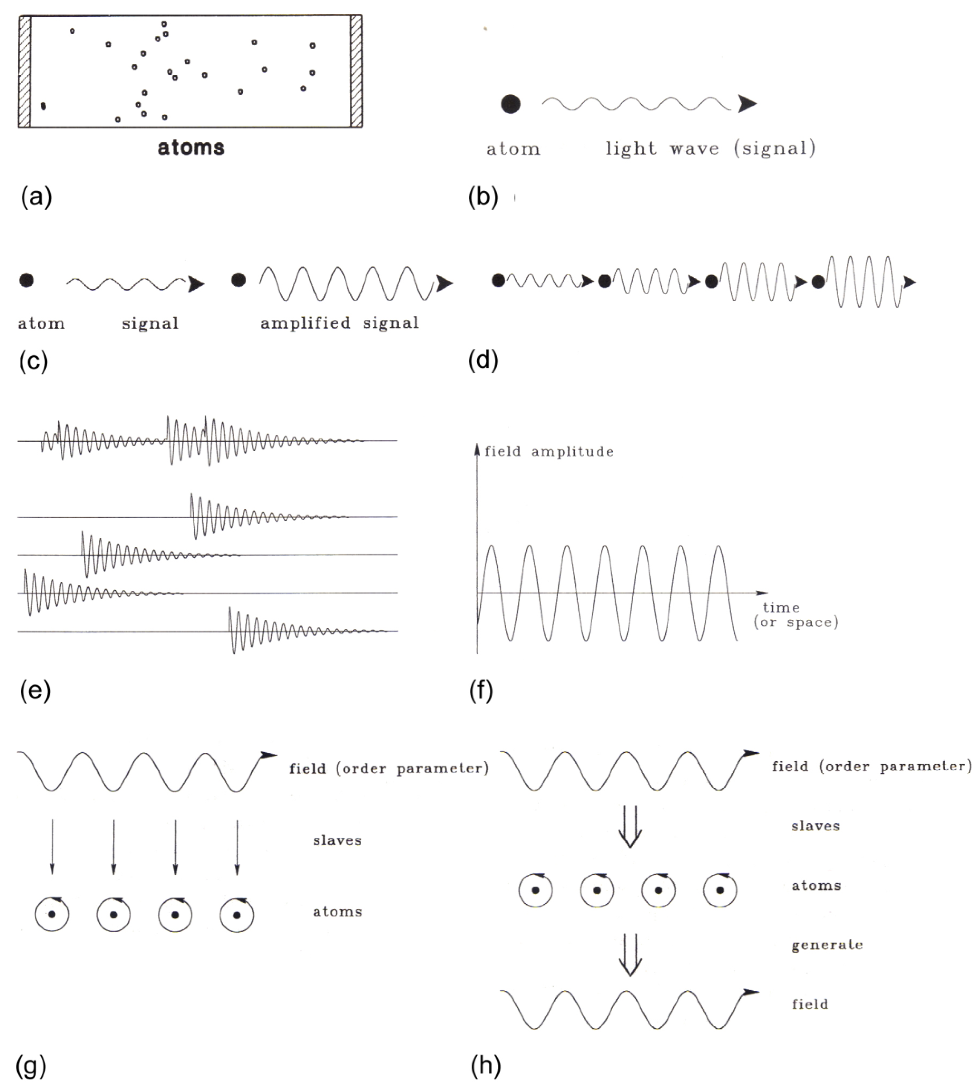 Entropy 23 00707 g005