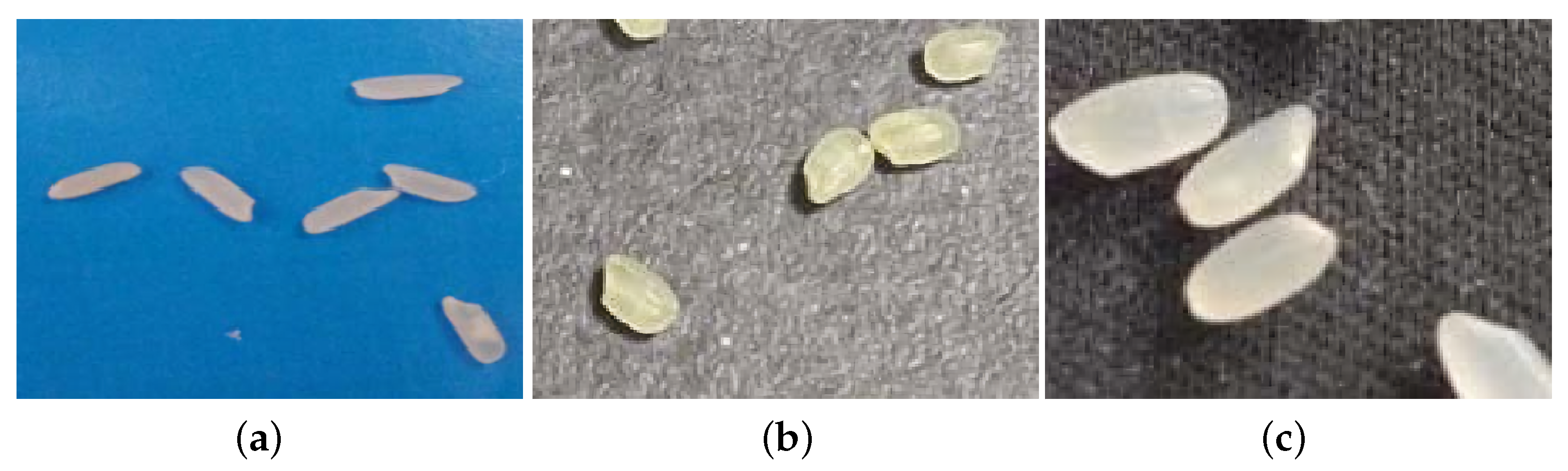 Entropy 23 00721 g002