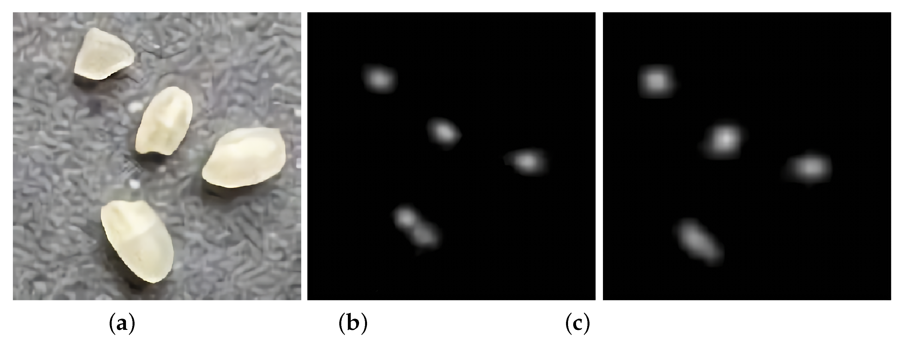 Entropy 23 00721 g011