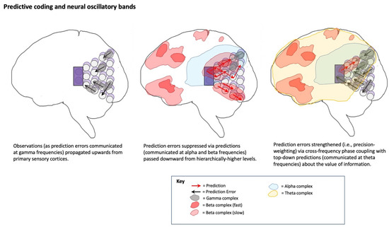 Geometry of the brain, dimensions of the mind, Anesthesiology, Michigan  Medicine