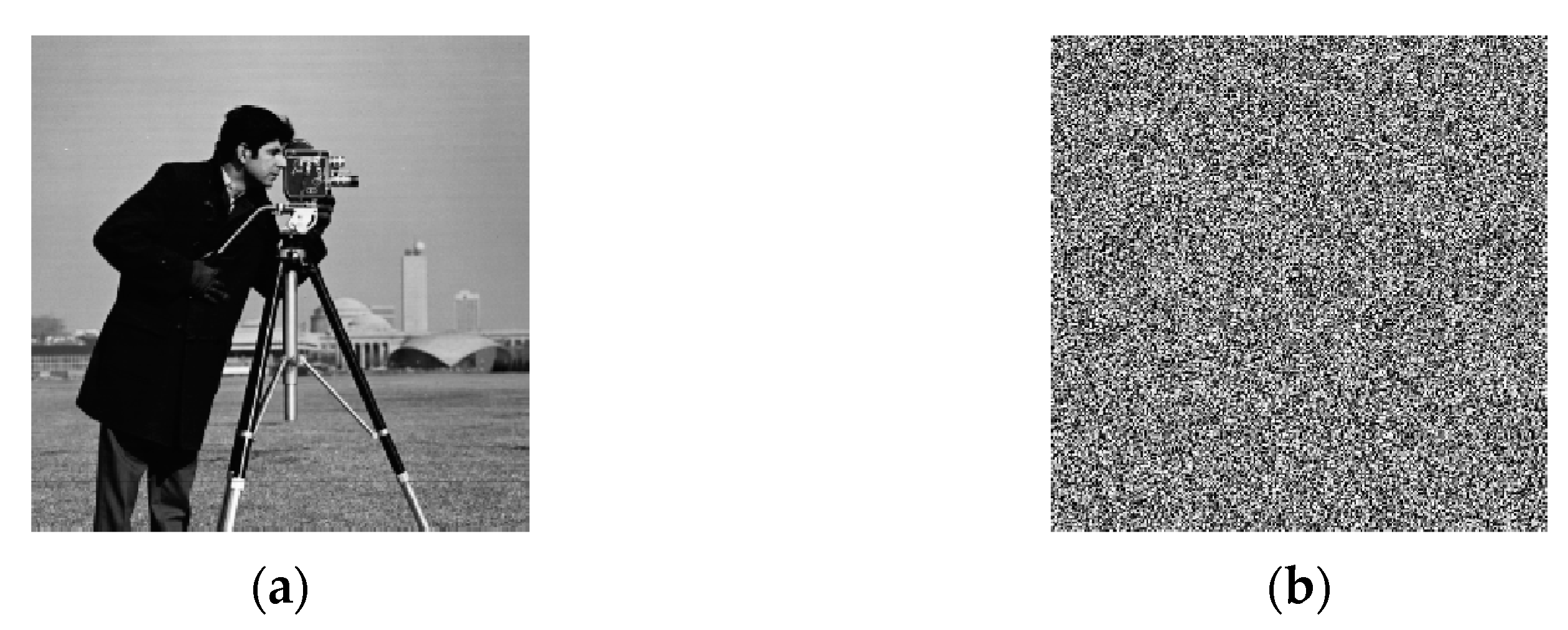 Entropy 23 00804 g005