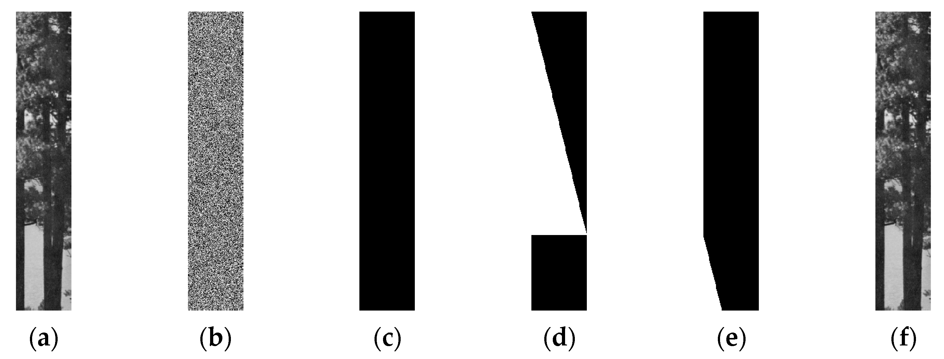 Entropy 23 00804 g008