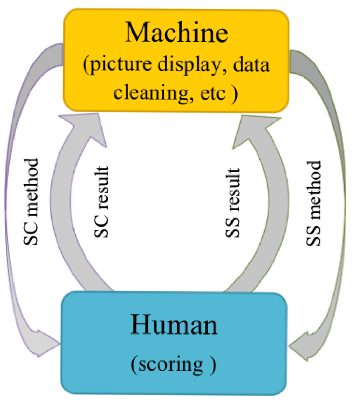 Entropy 23 00814 g001