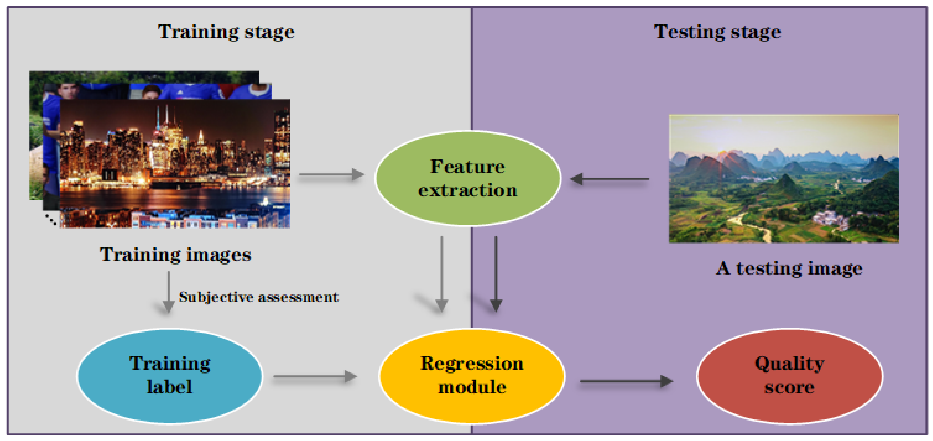 Entropy 23 00814 g003