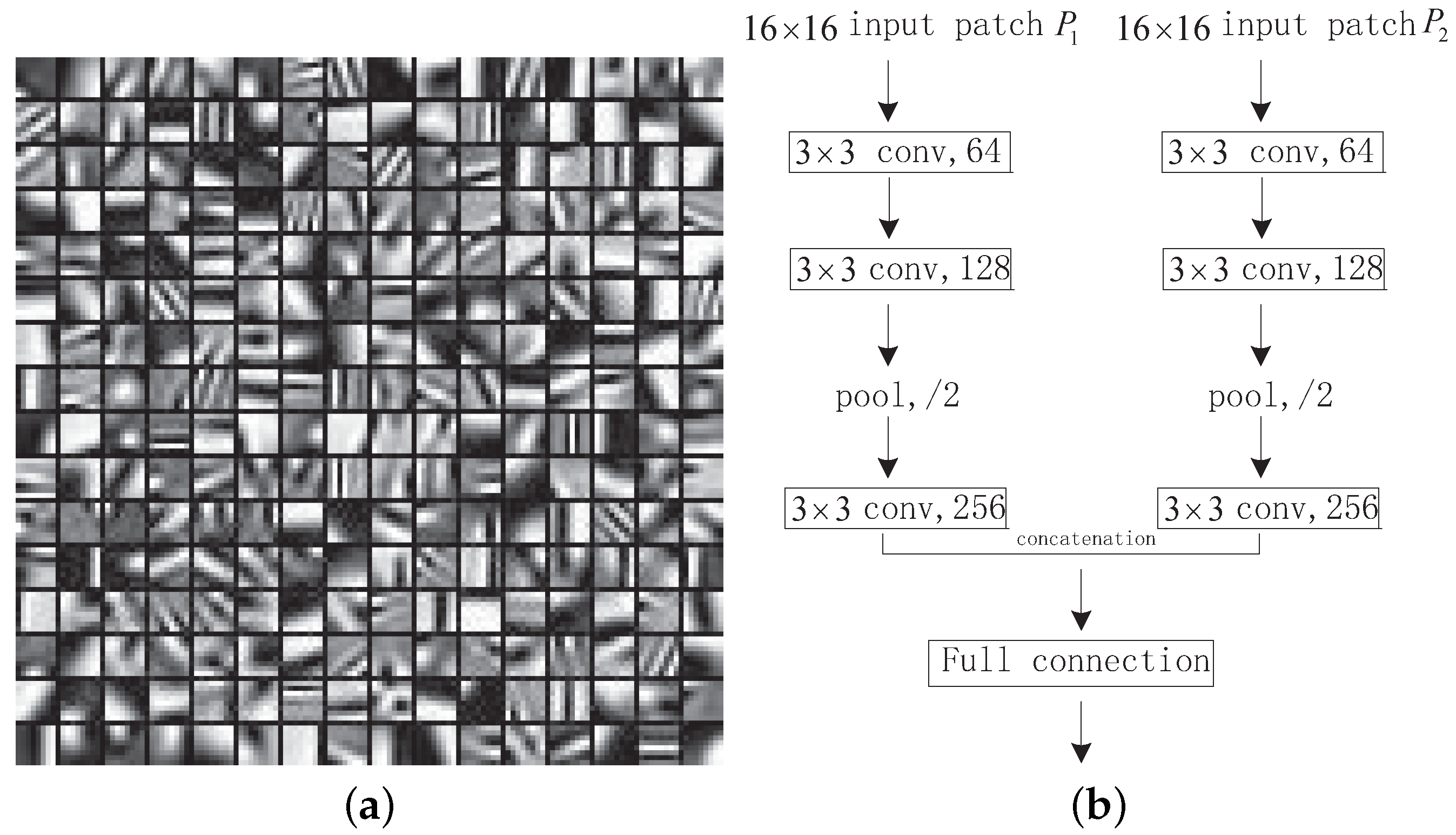 Entropy 23 00827 g001