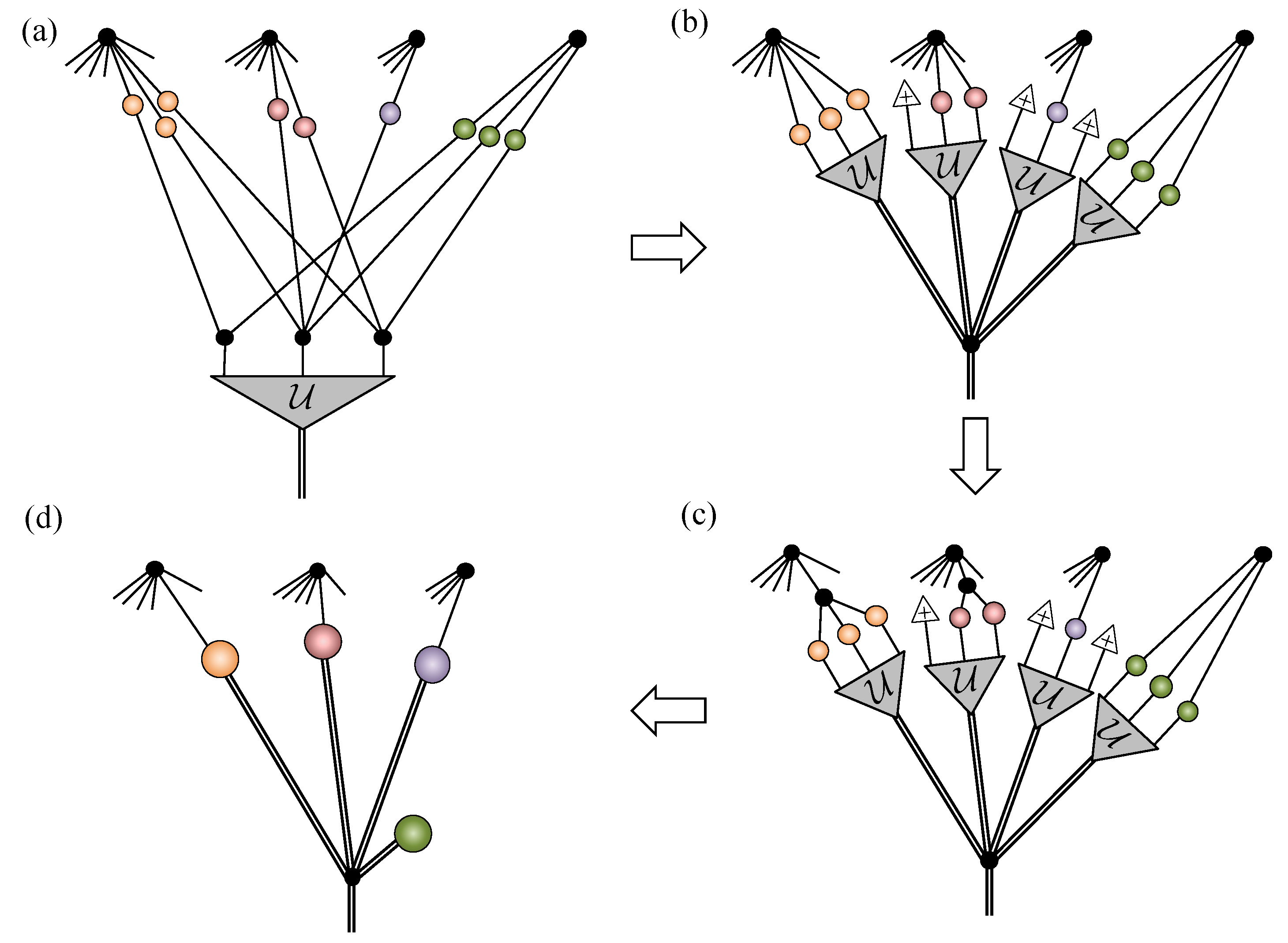 Entropy 23 00879 g004 550